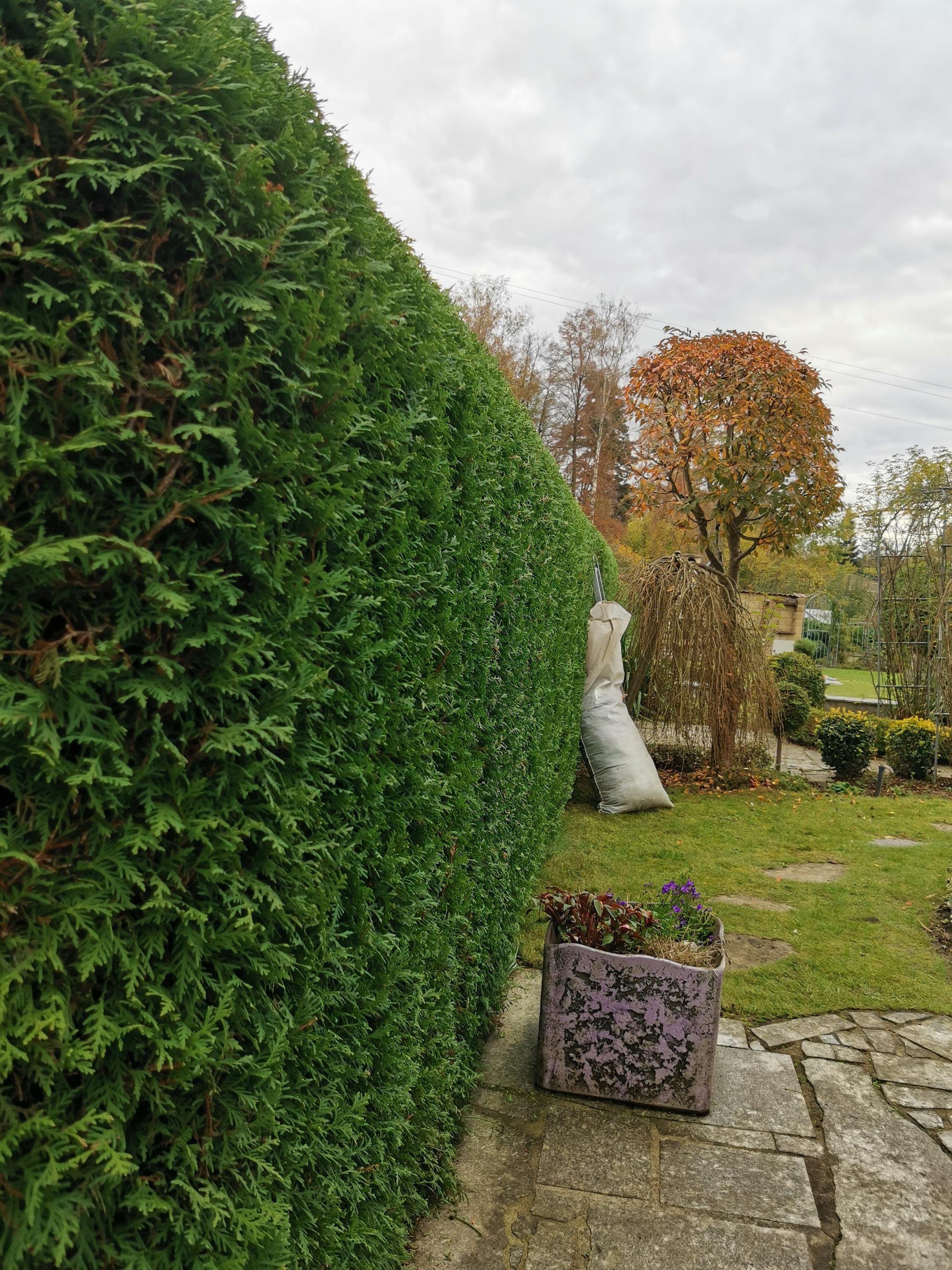 KolGardens foto 3
