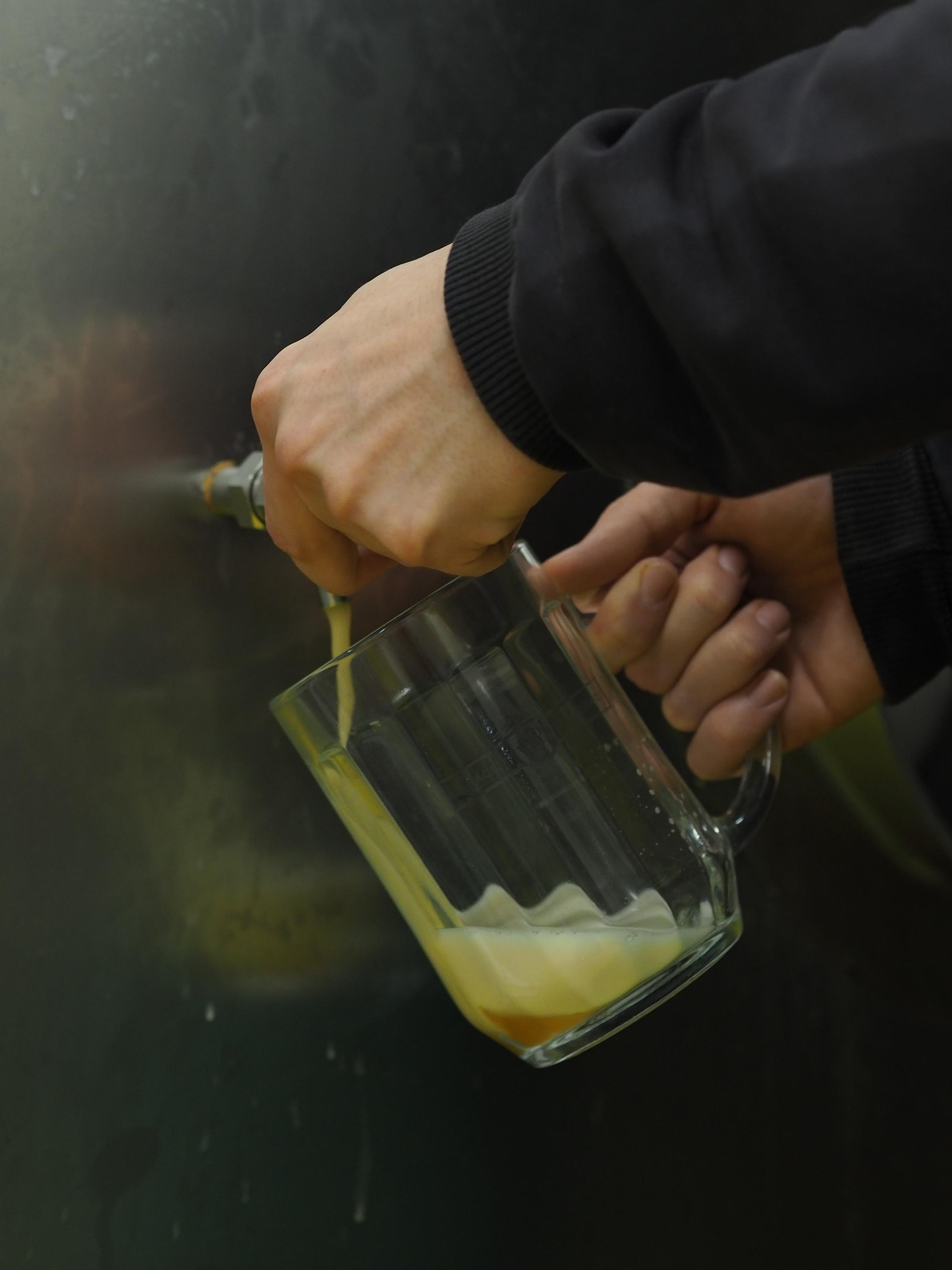 Létající sládci foto 2