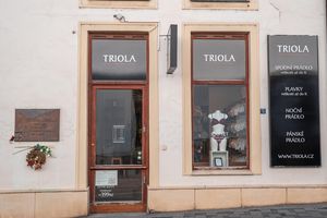 Firemní grafika Triola
