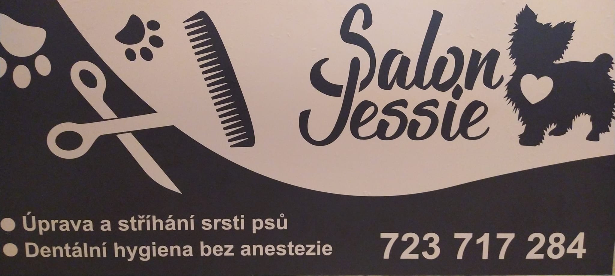 Psí Salon Jessie - Tereza Koutová foto 2