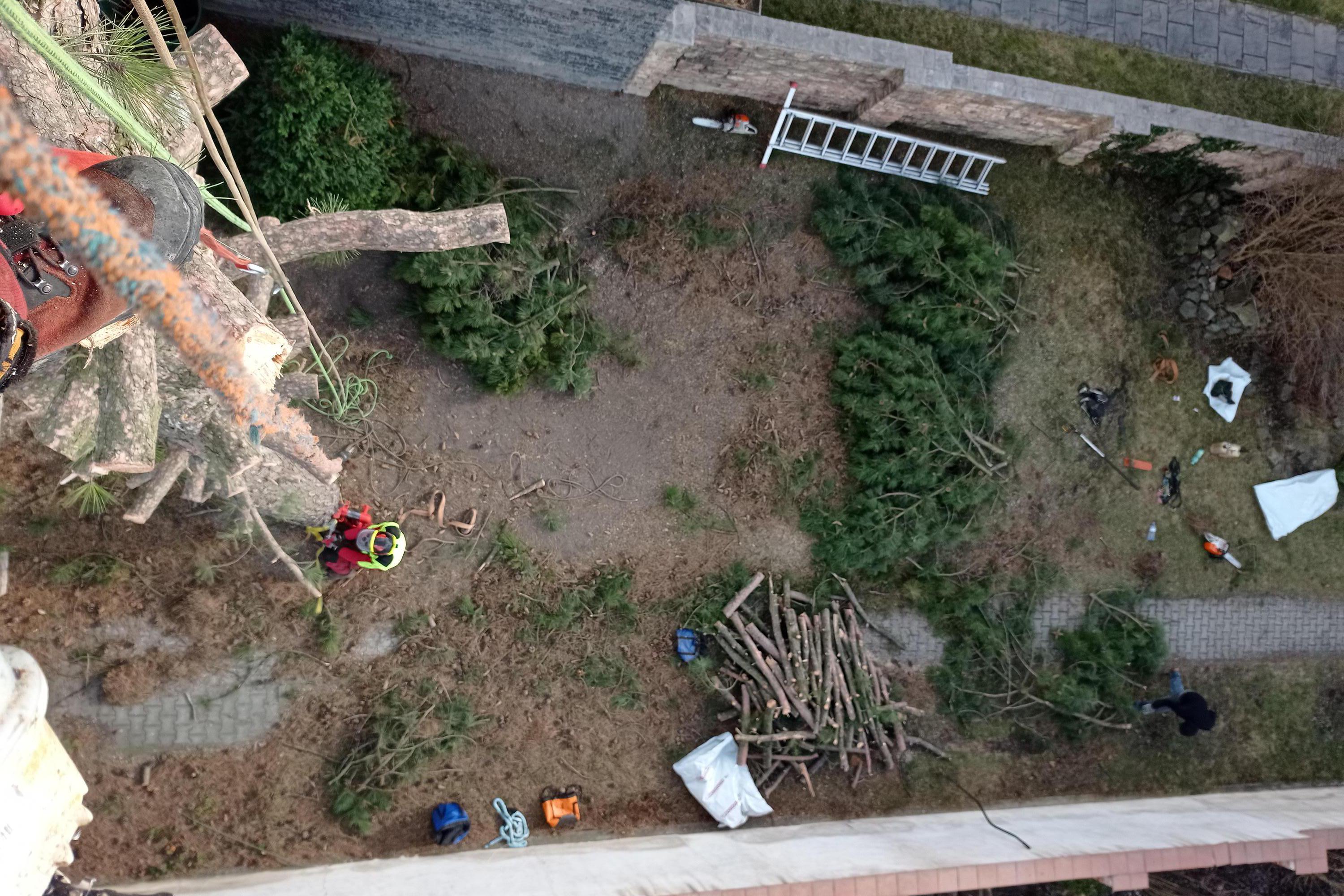 Rizikové kácení a výškové práce Klabusay