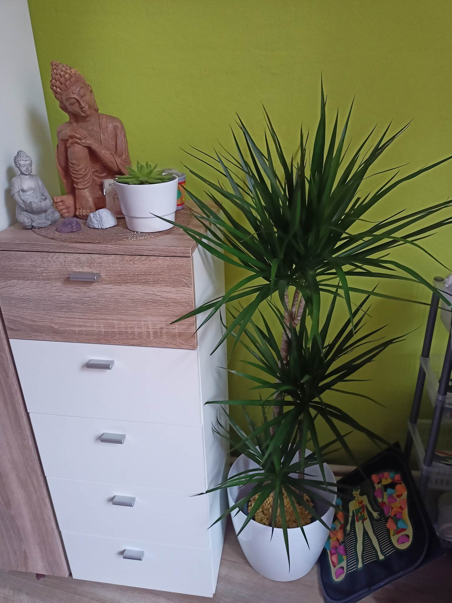 Salónek Sára Maserské, Rekondiční a Regenerační služby foto 6