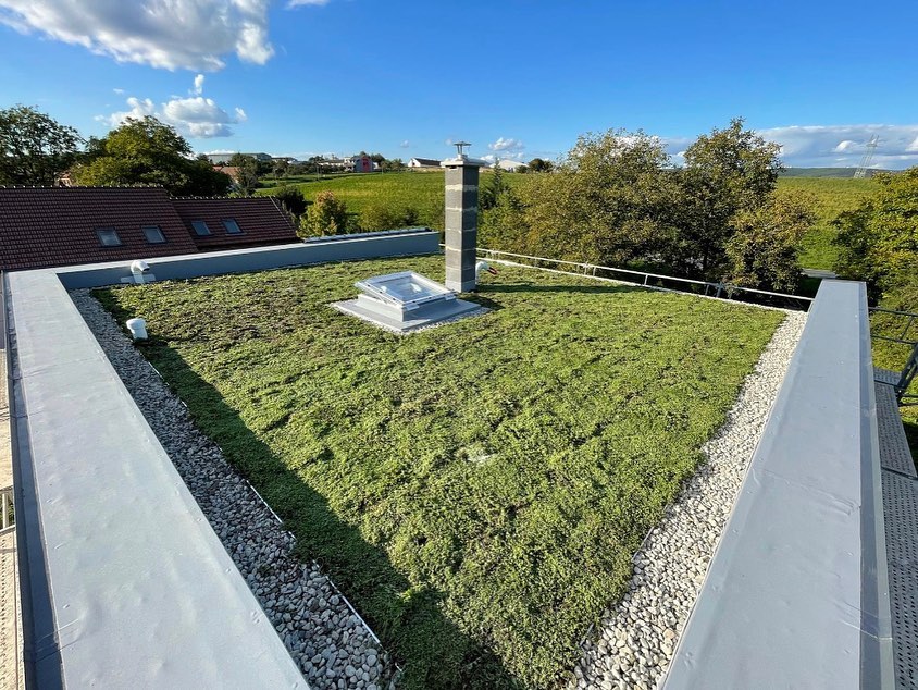 BerGreen roof foto 2