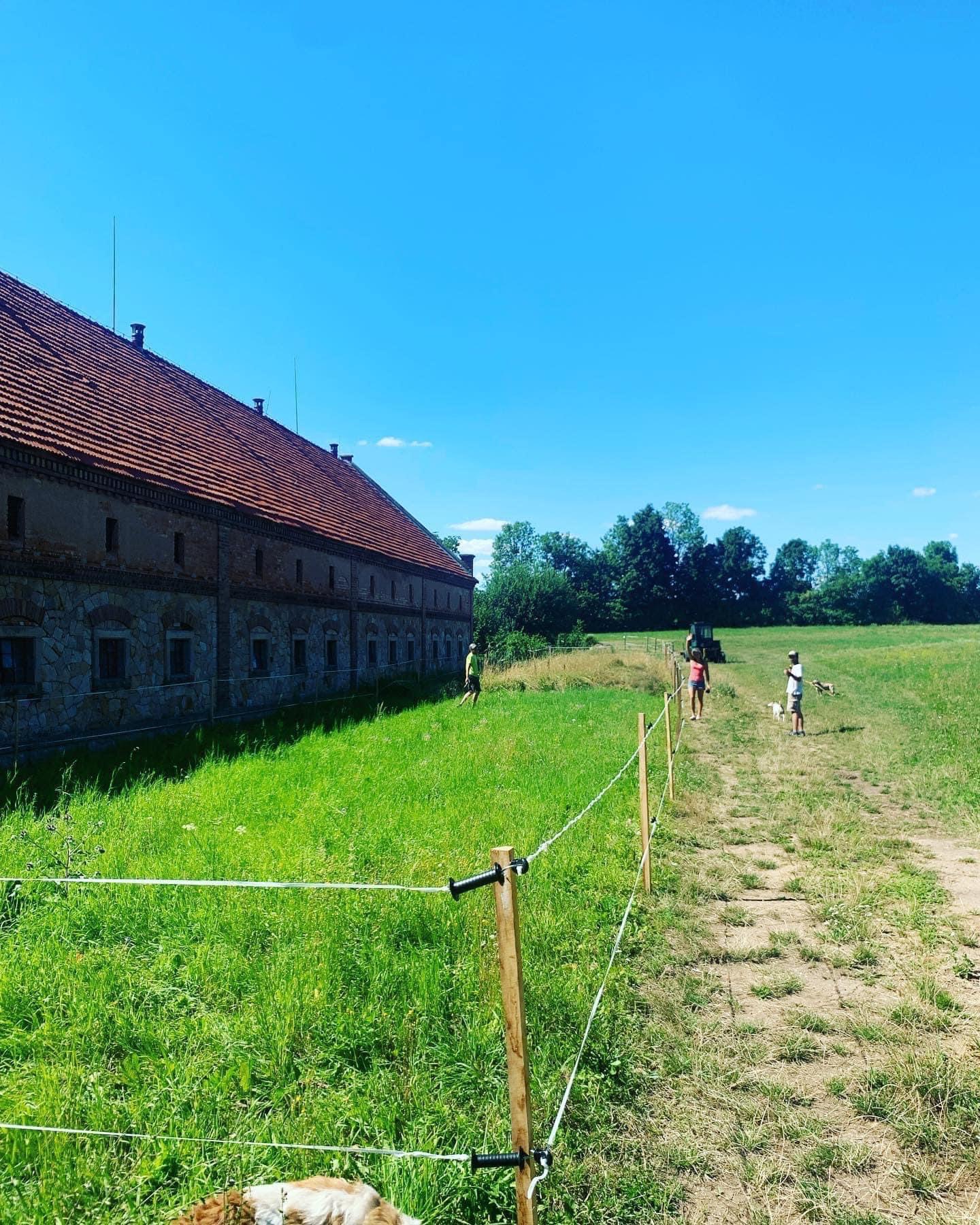 TJ Zámecký hřebčín z.s. foto 6