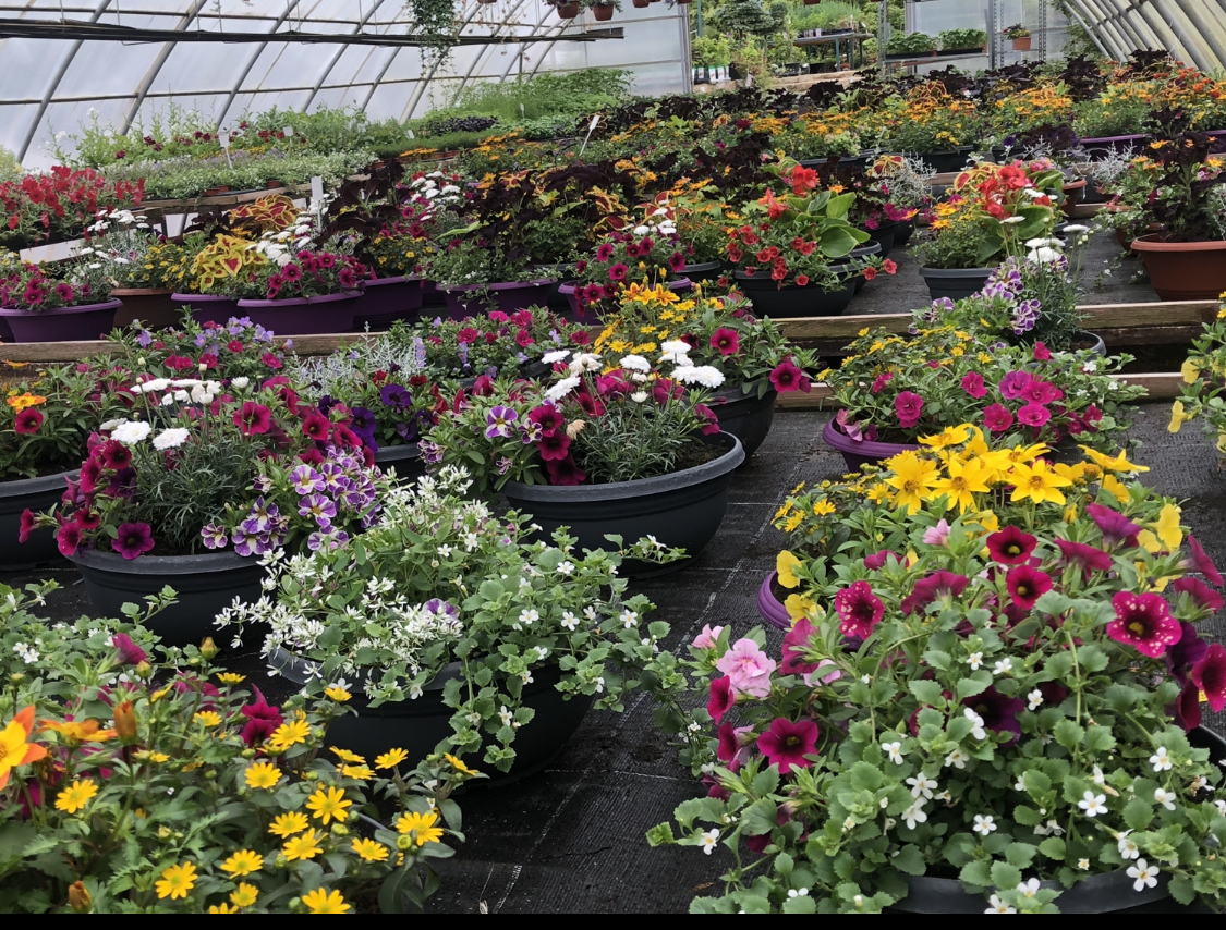 Zahradnictví Chalačev