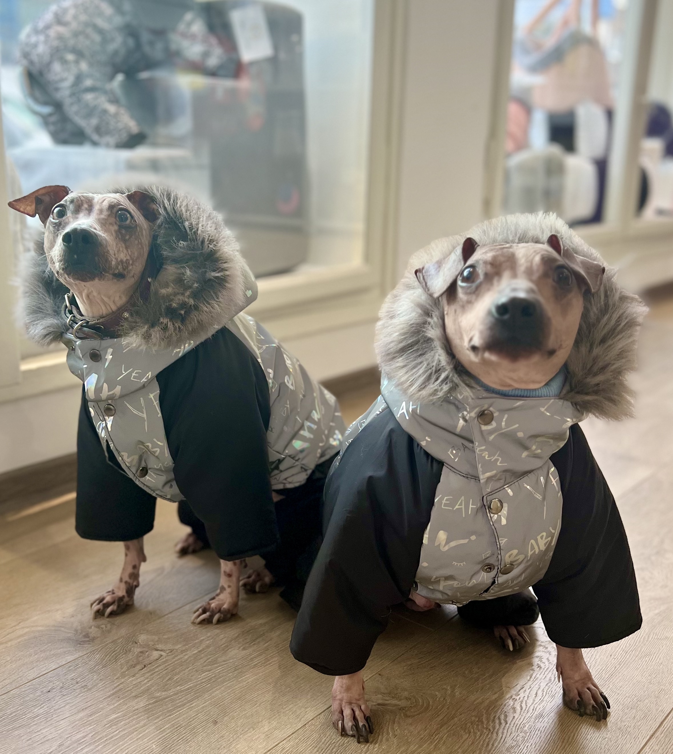 Aldo Sales CZ, s.r.o. foto 2