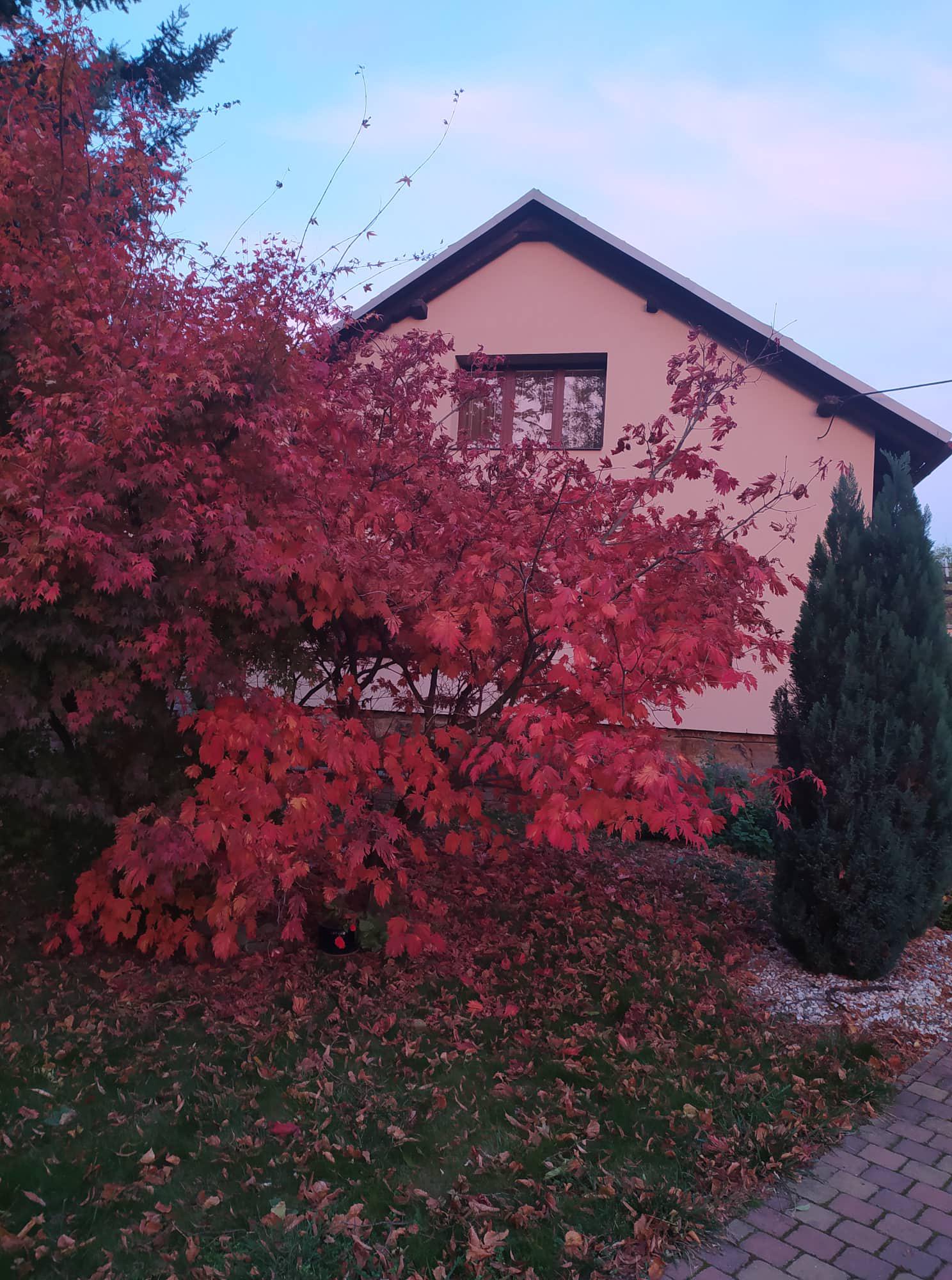 Účto Morava s.r.o. foto 1