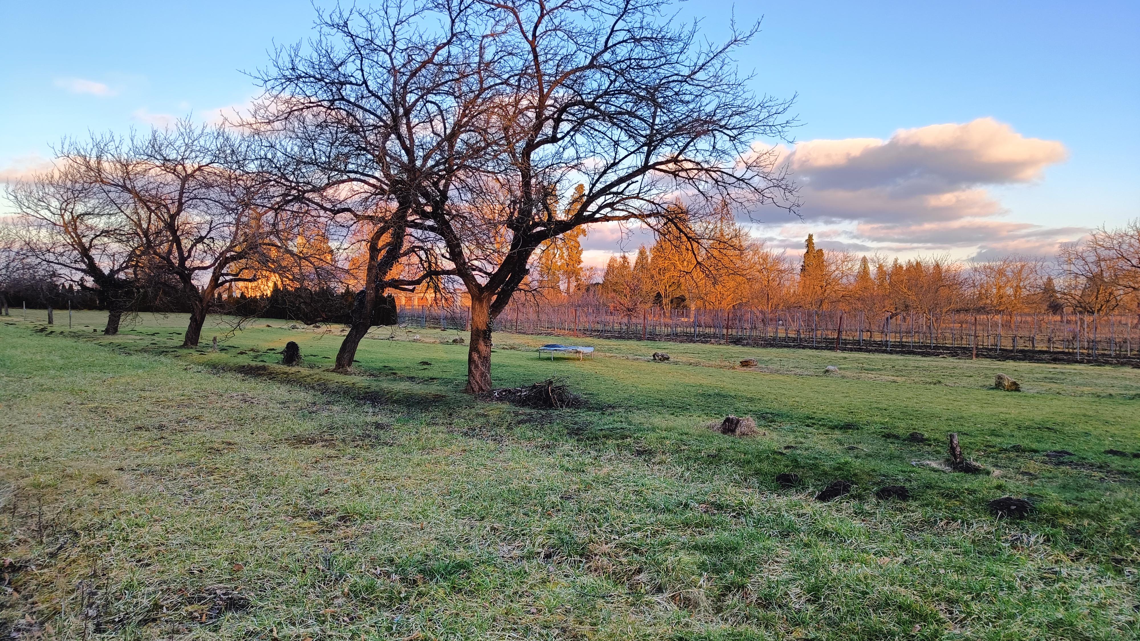 Stellplatz Valtice foto 2