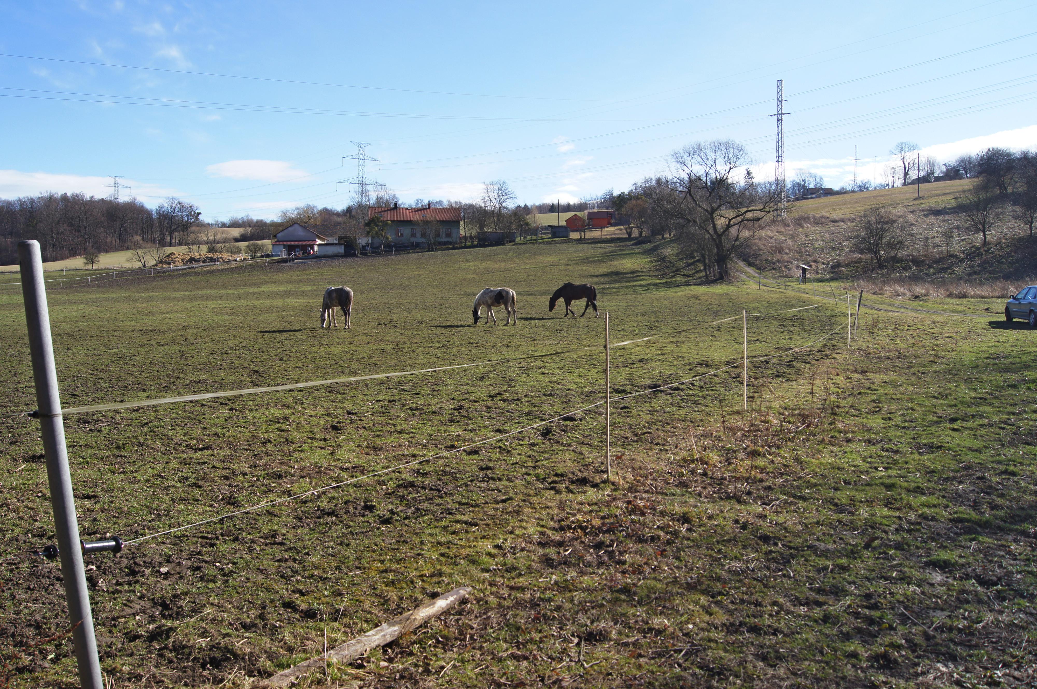 JK HIPO-POHODA foto 3