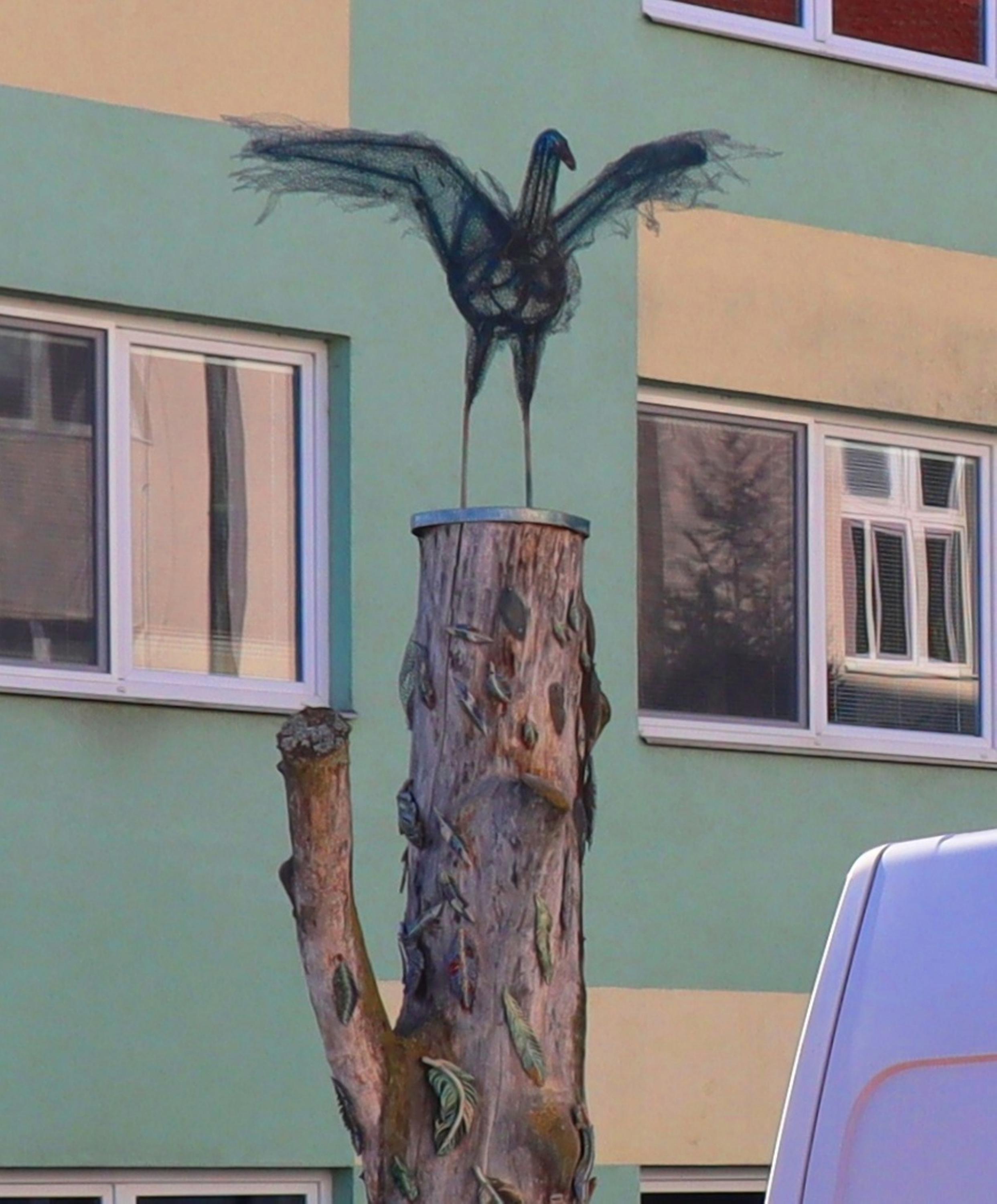 Ledax Vysoké Mýto, o.p.s. foto 3