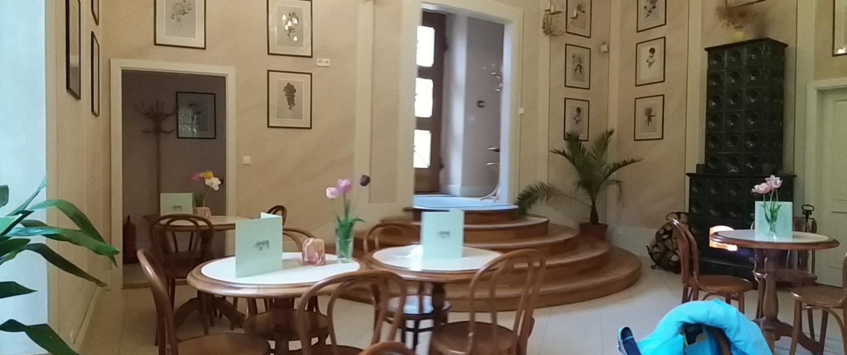 Kavárna Oranžerie foto 5