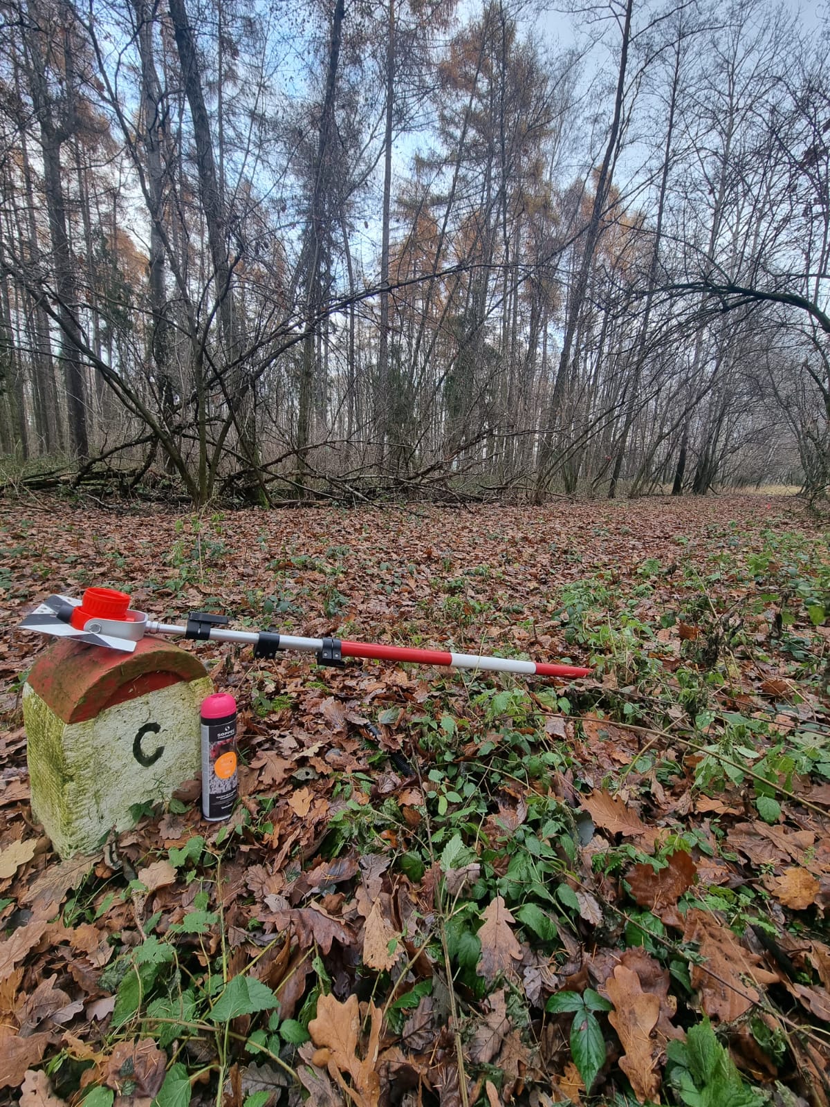 GEOin - geodetická kancelář foto 6