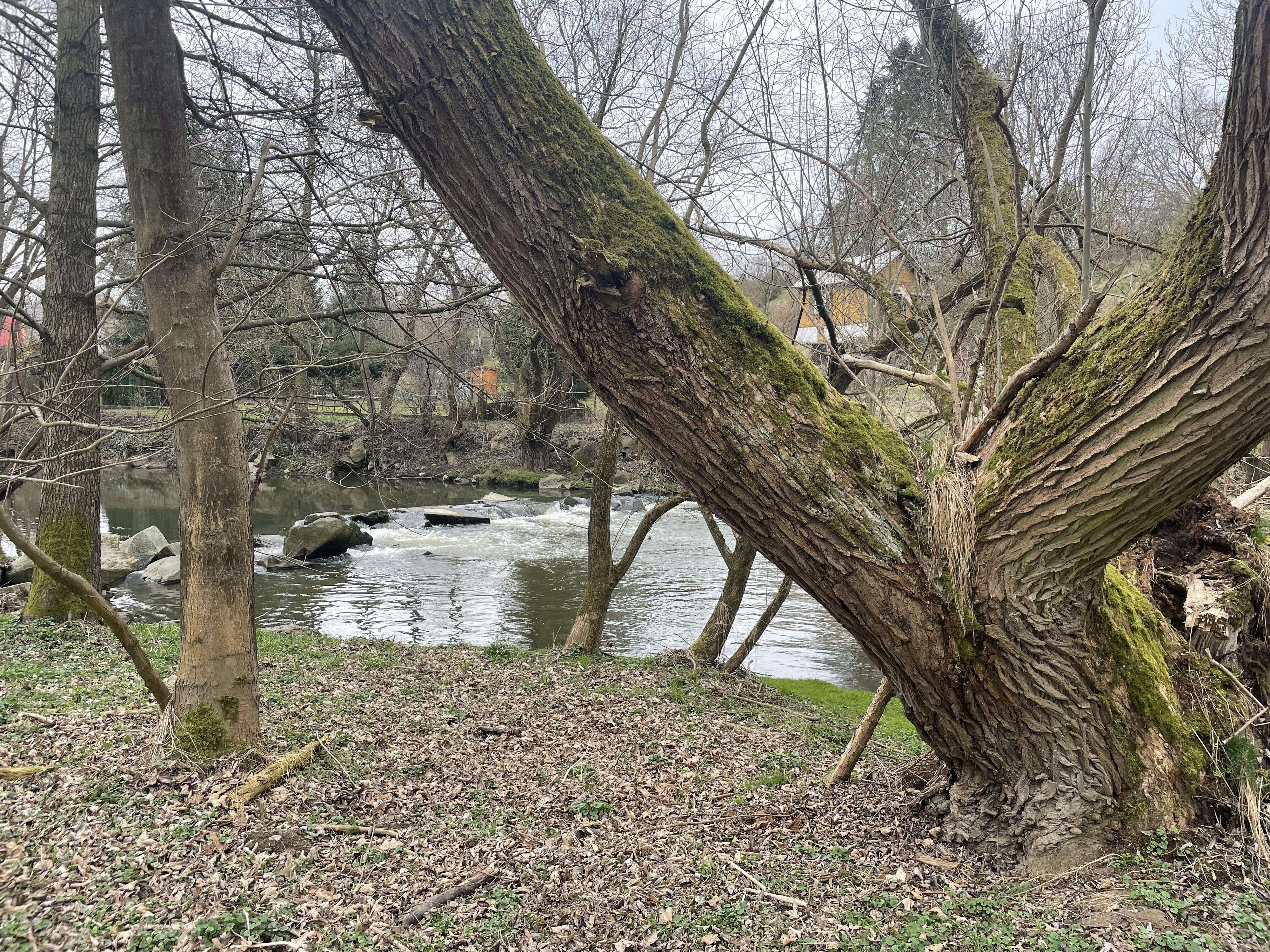 TJ Spartak Sedlec foto 2