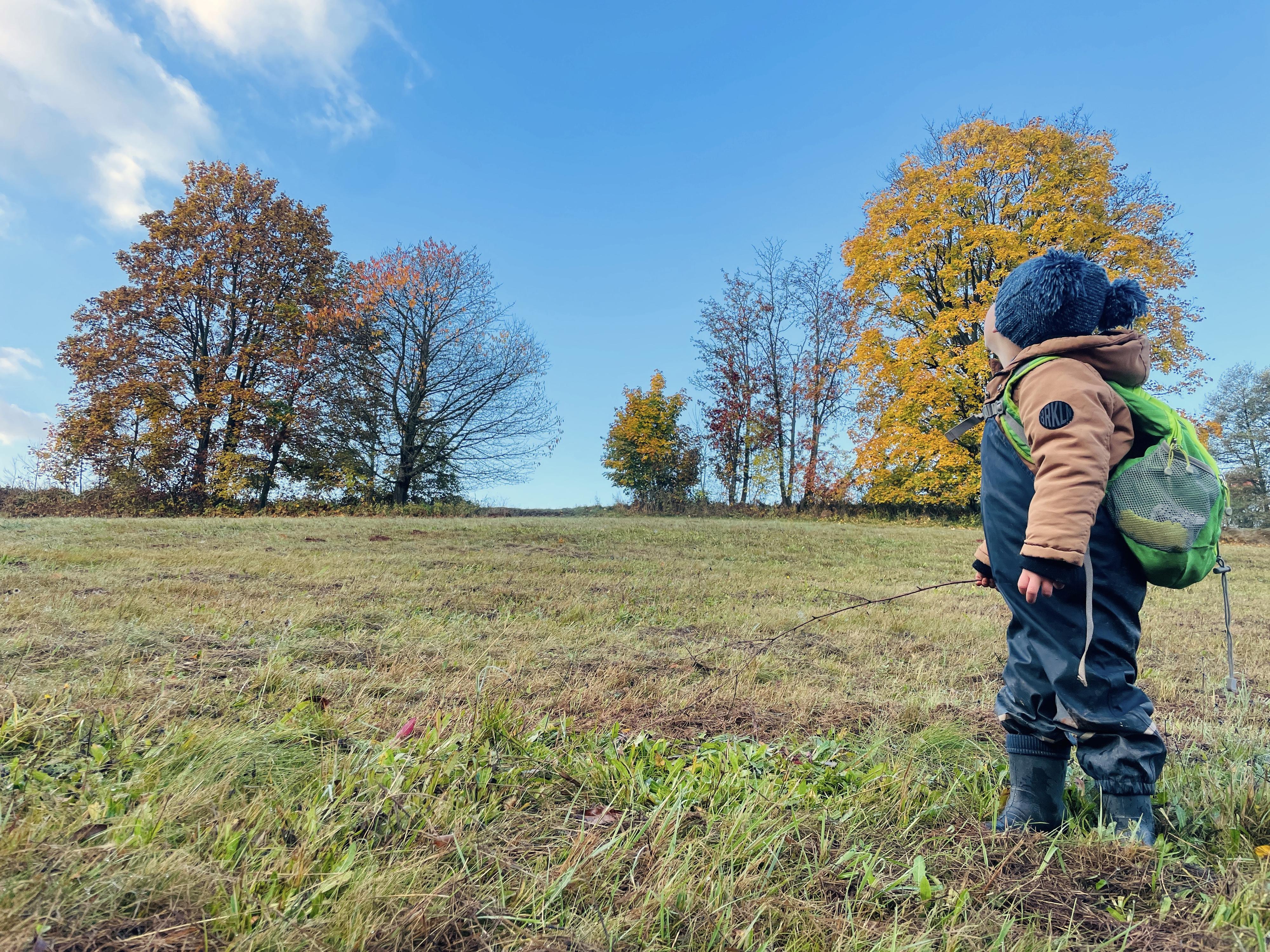 Lesní klubík malých badatelů foto 3