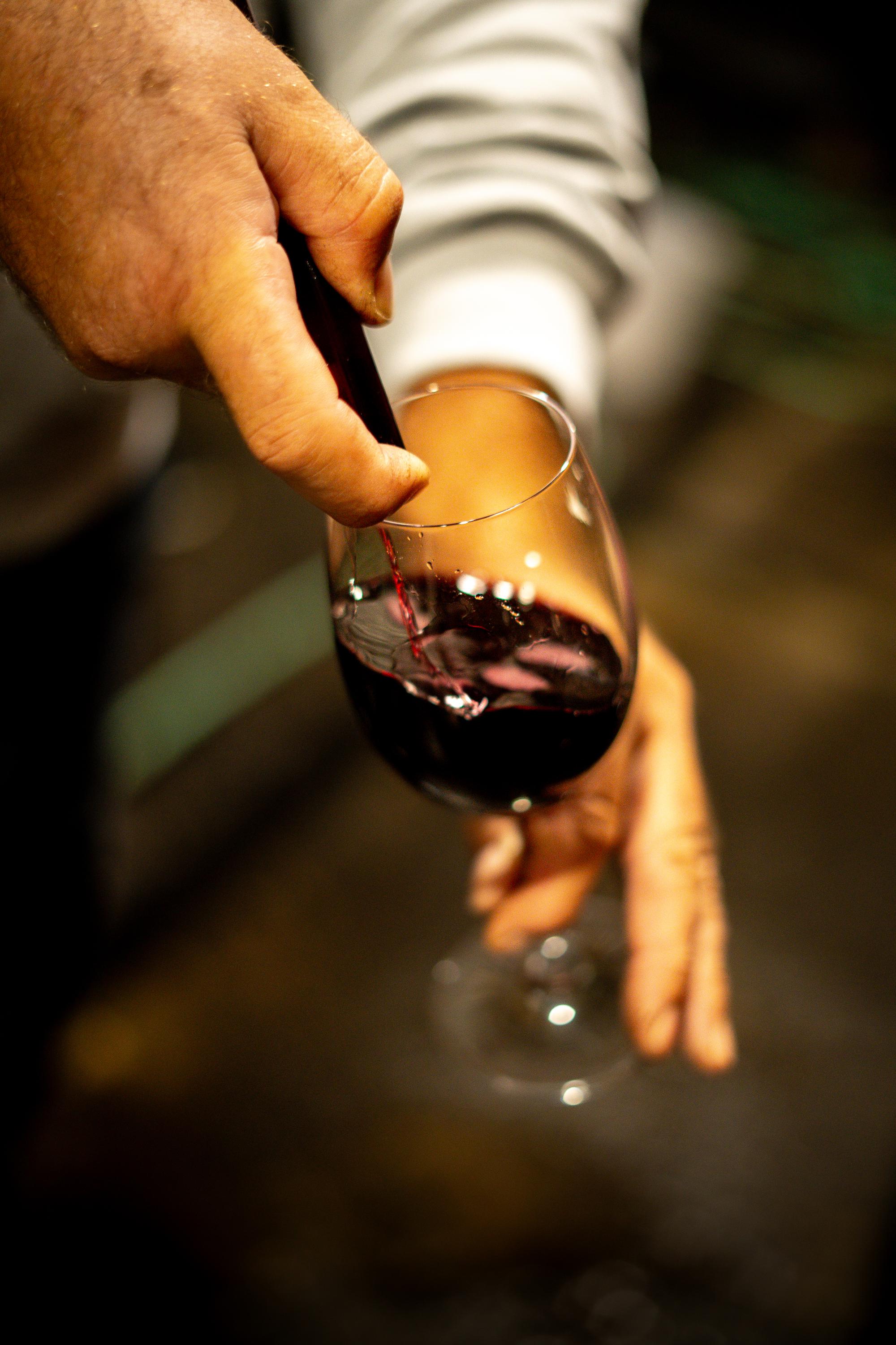 Vinný sklep u Světlíků foto 5