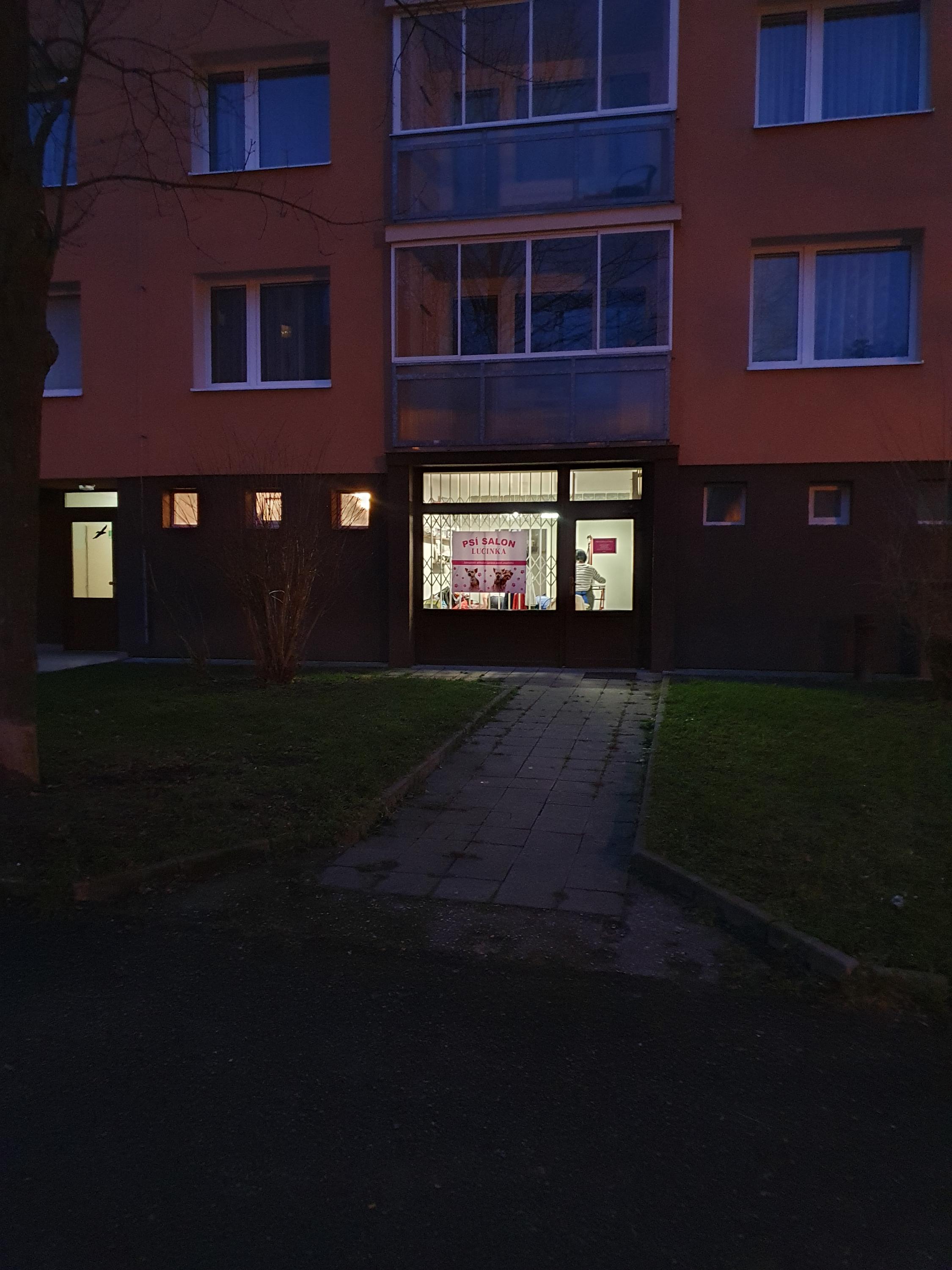 Psí salon Lucinka foto 3