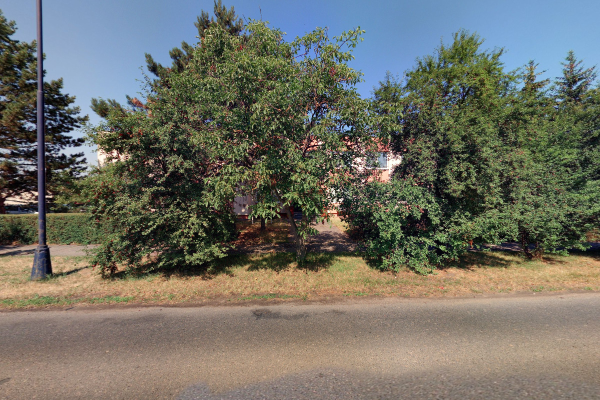 Krajská veterinární správa foto 2