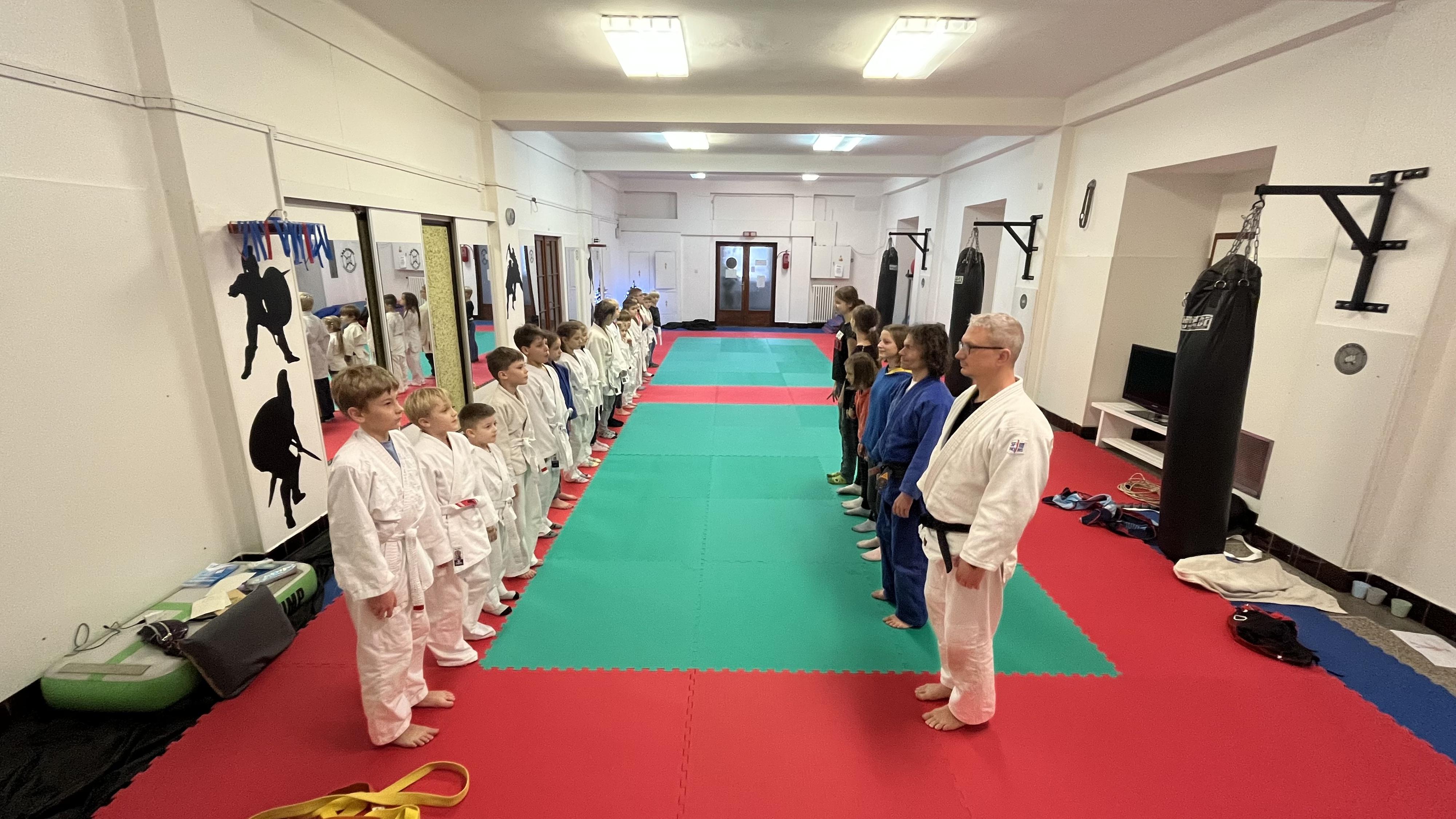 Judo Best Motion foto 3