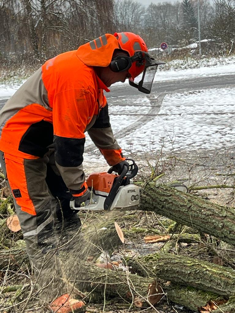 Palivové dříví Petr Skoumal foto 4