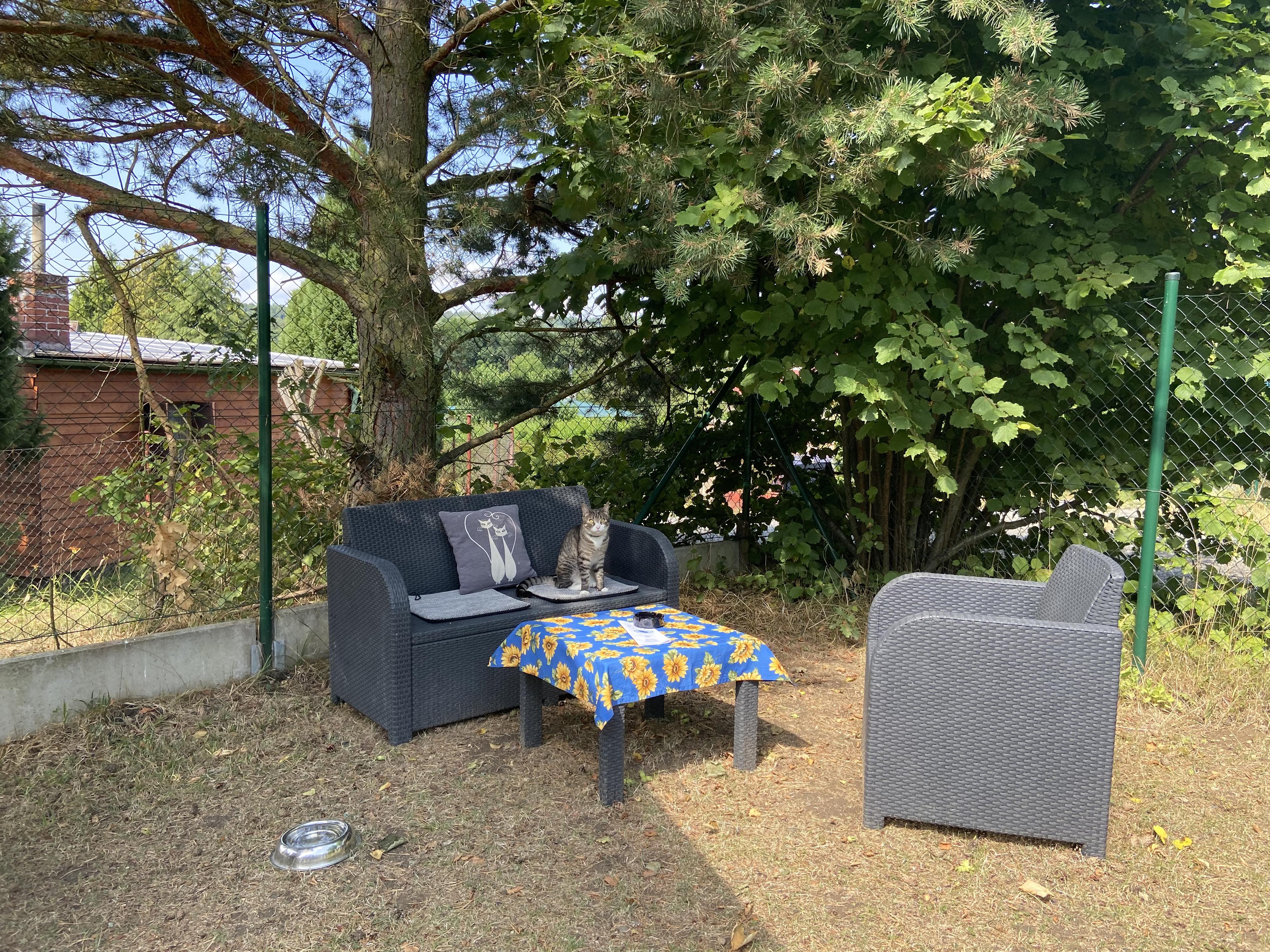 Občerstvení U Modré kočky foto 4