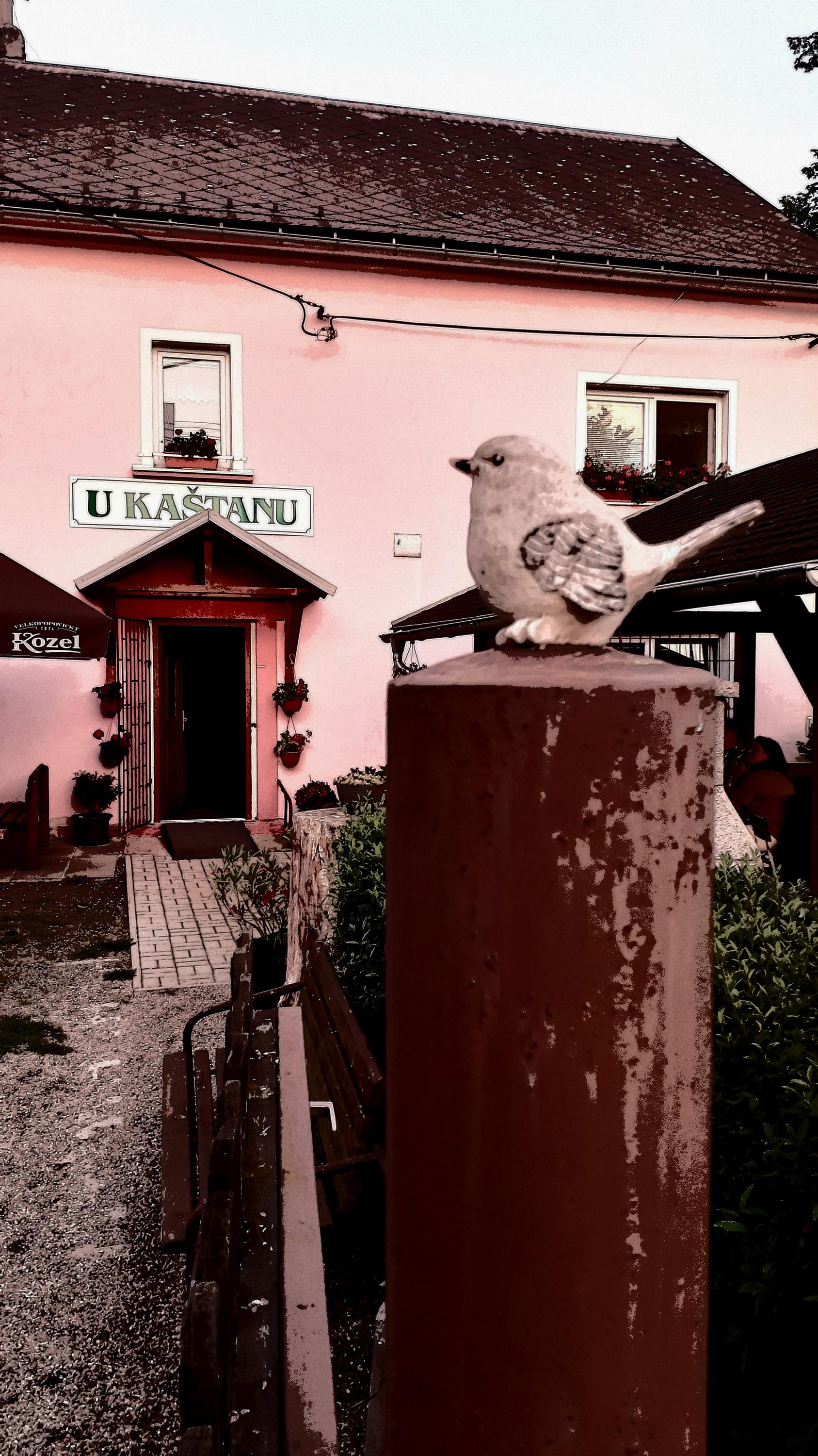 Hostinec U Kaštanu foto 2