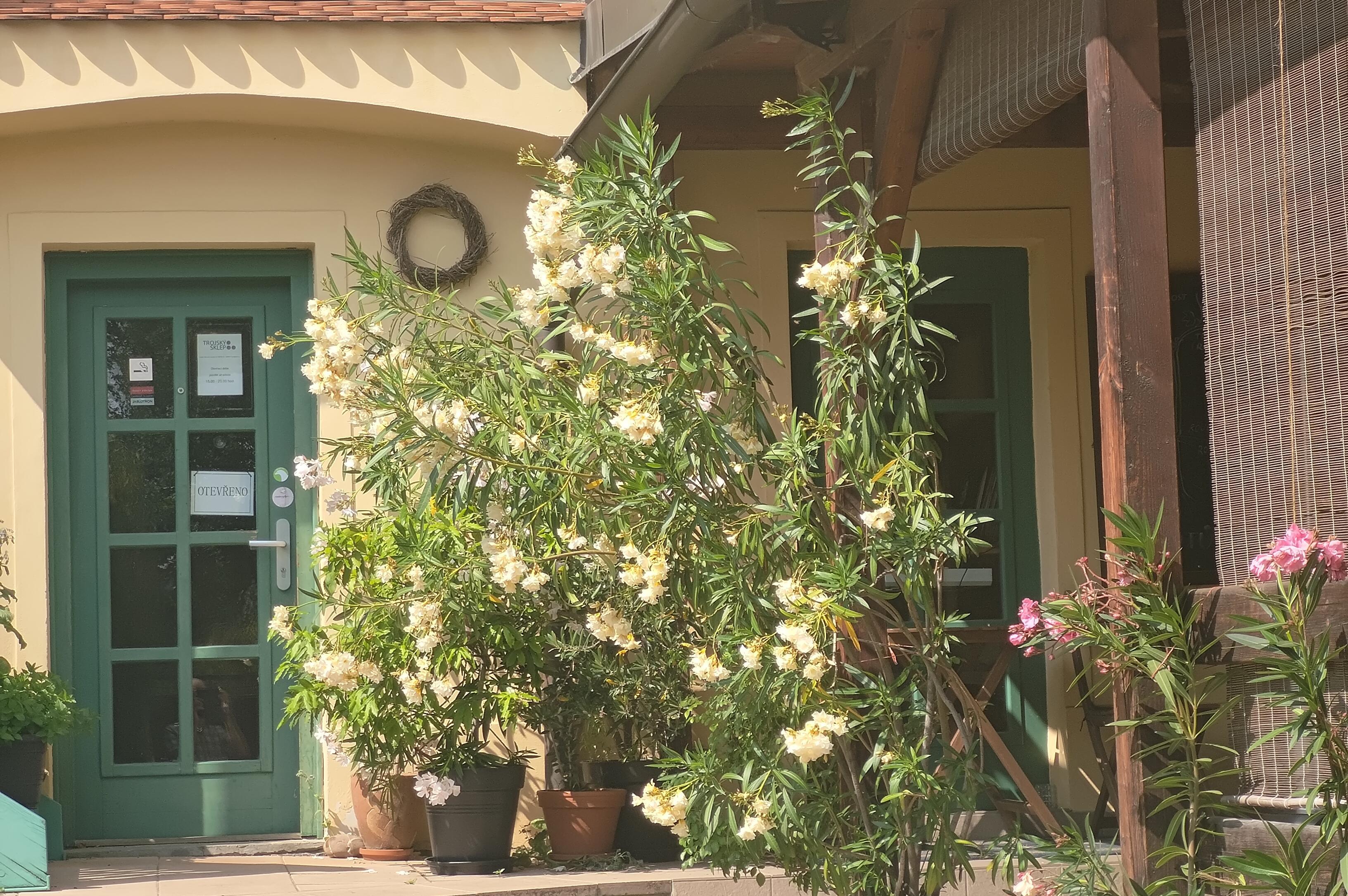 Vinotéka Trojský sklep