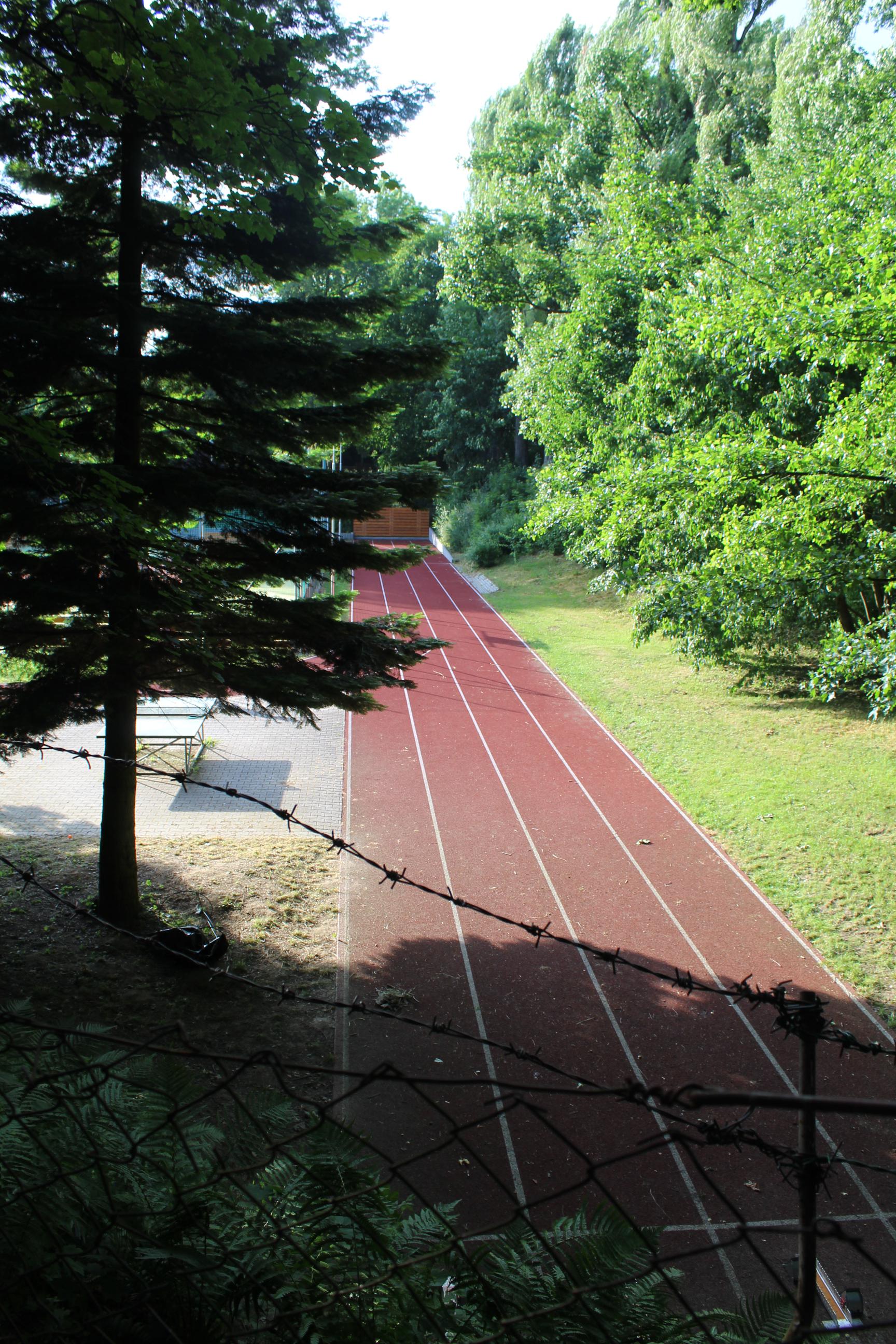 Koupaliště Olešnice foto 3