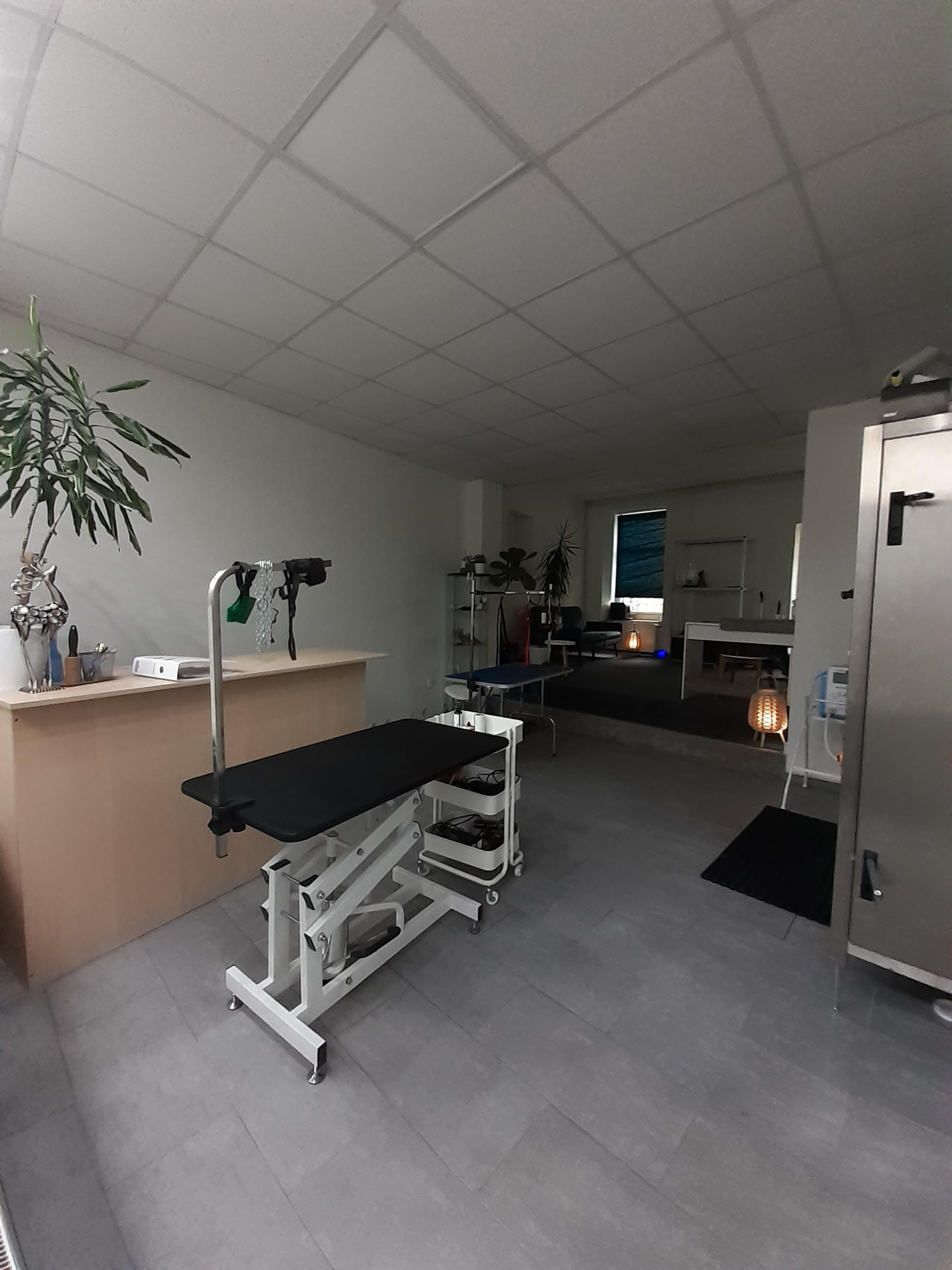 Psí salón AbbyWash foto 2