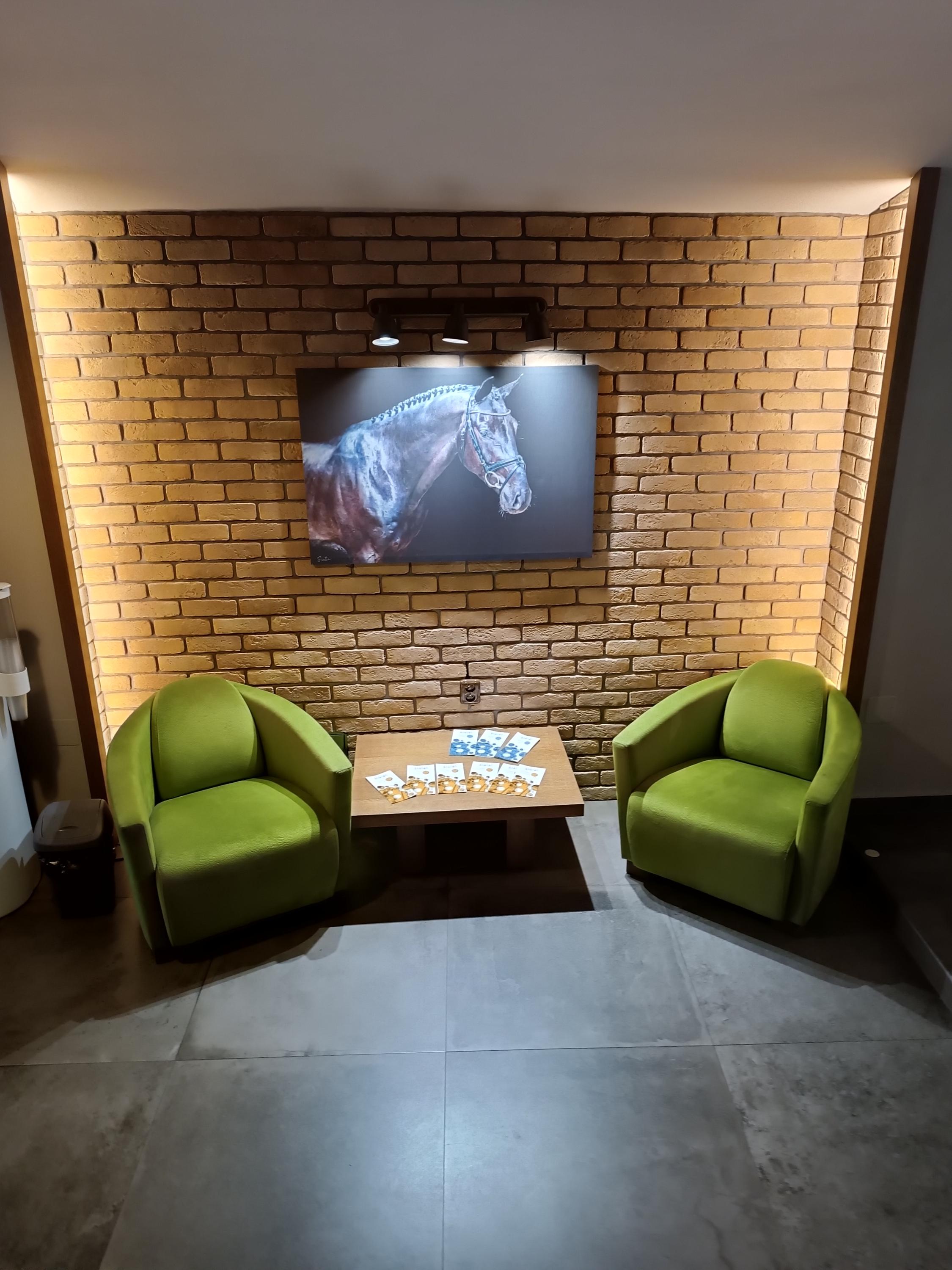 Hotel U koně foto 3