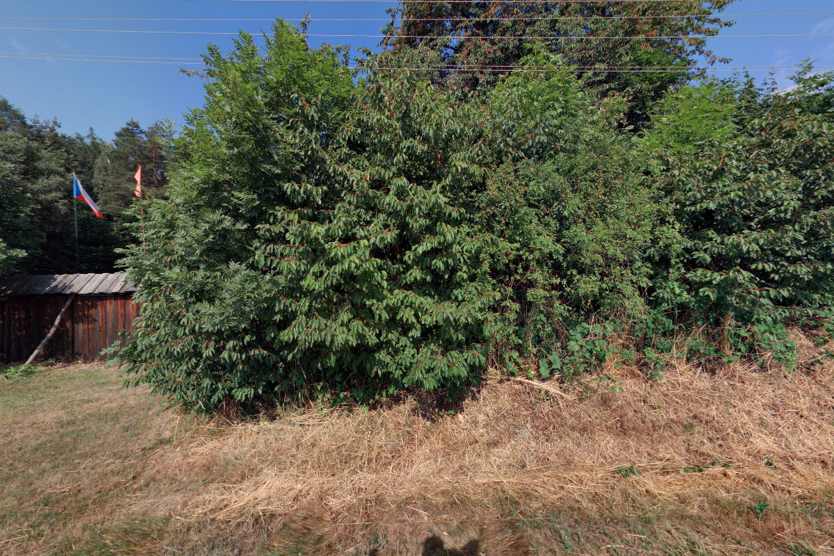 Spolek Orličtí ostrostřelci foto 4