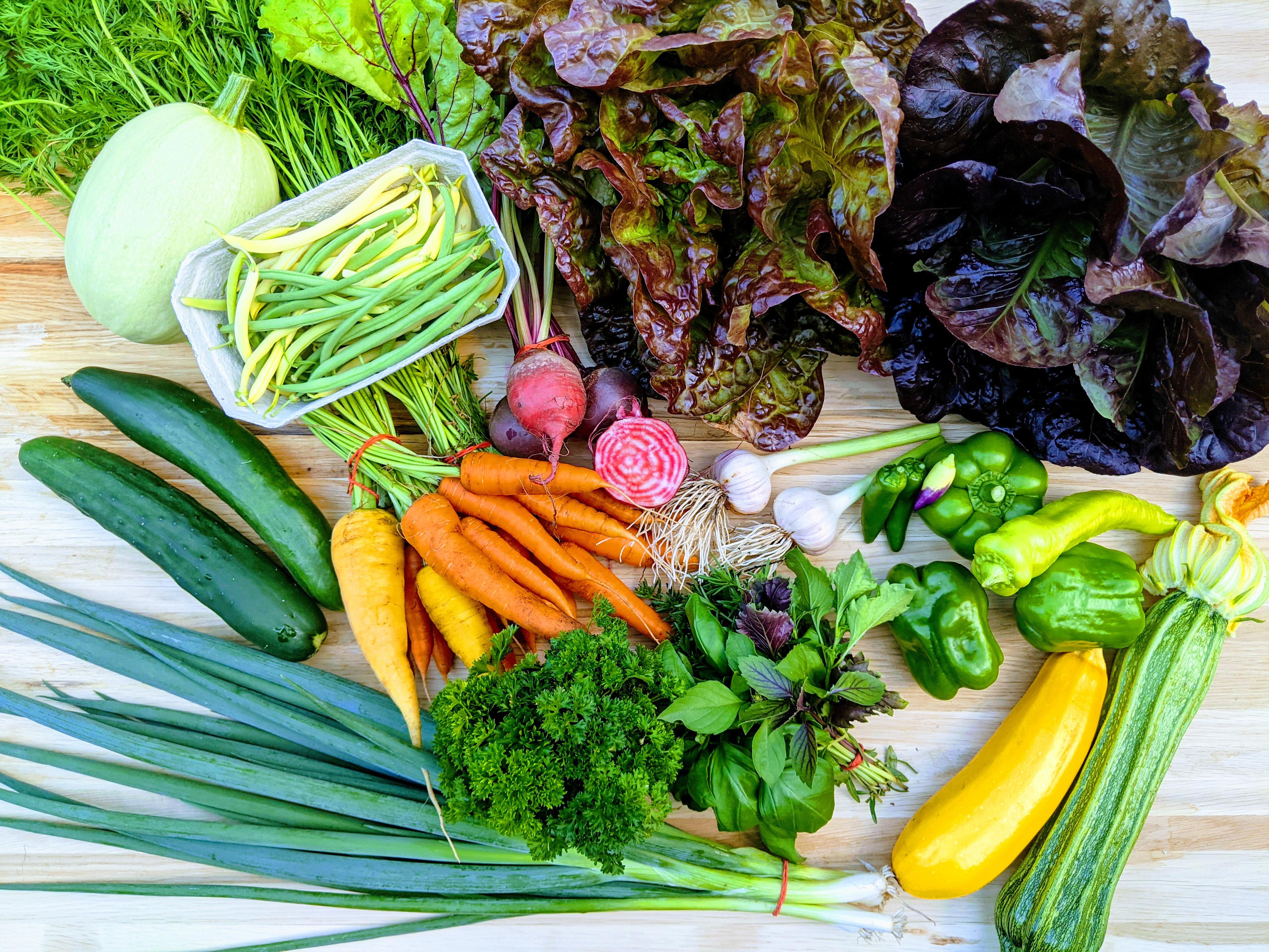 Farma Mezi řádky foto 4