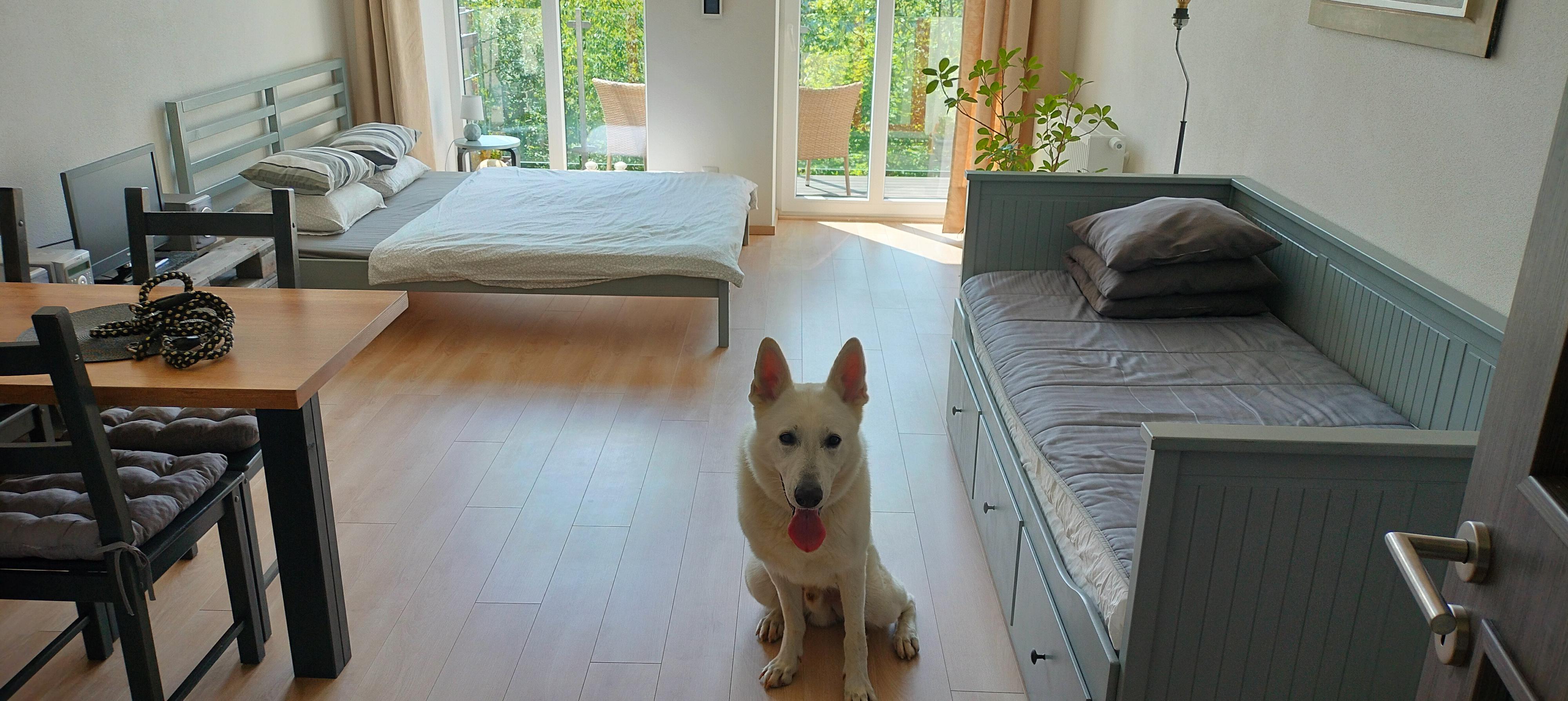 Apartmán Vyhlídka Hamry foto 5