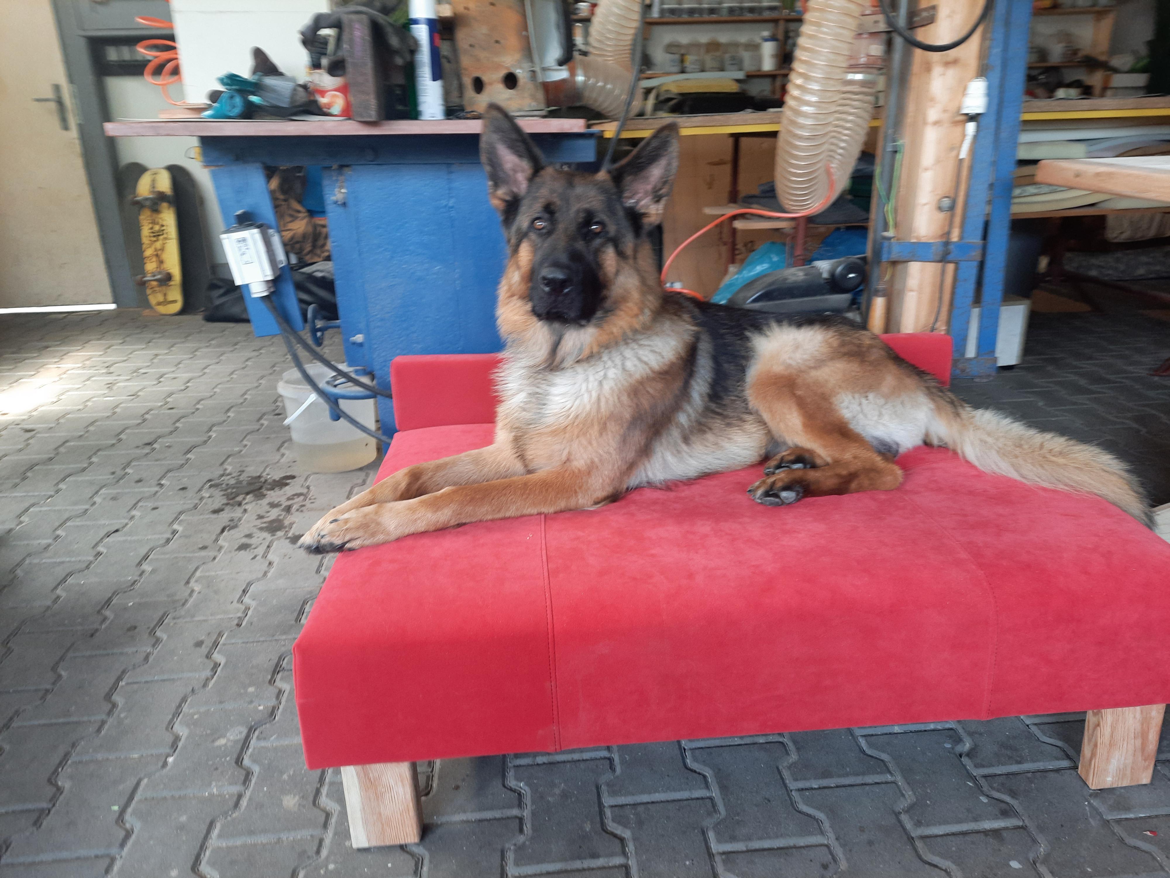 Čalounictví Ondřej Rössler foto 6