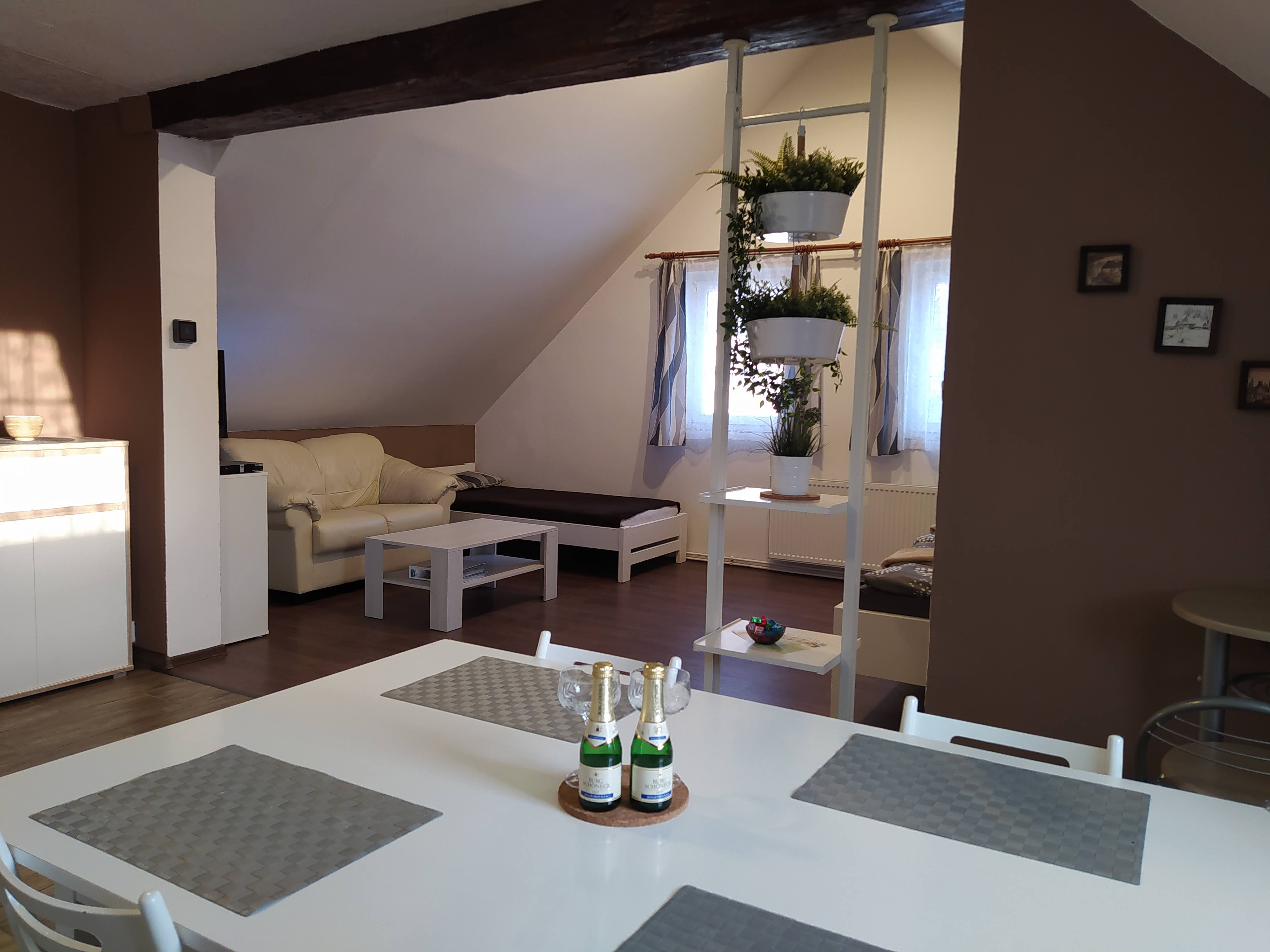 Ubytování v Apartmánu Frank