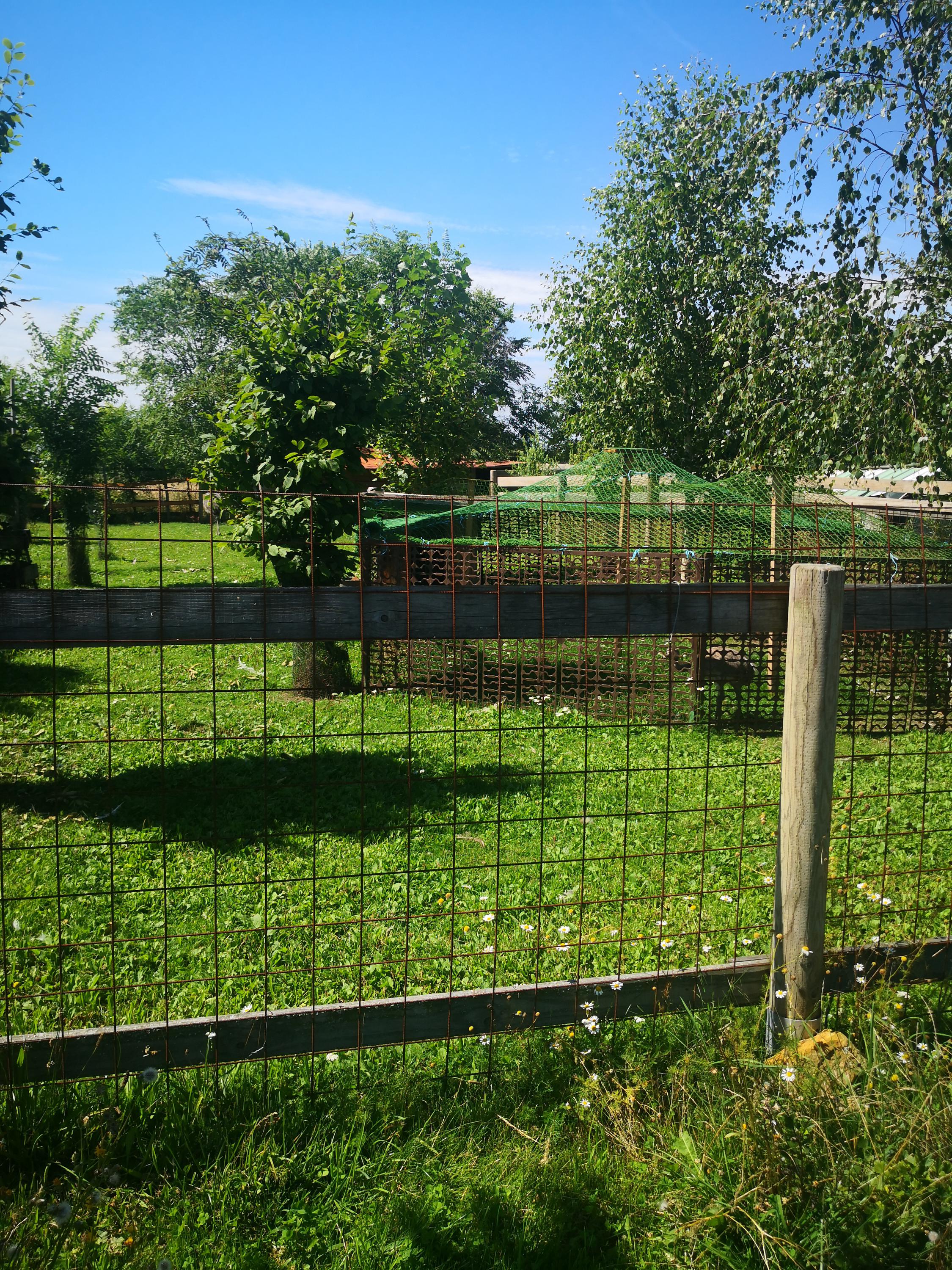 Ranč U kulhavýho velblouda foto 6