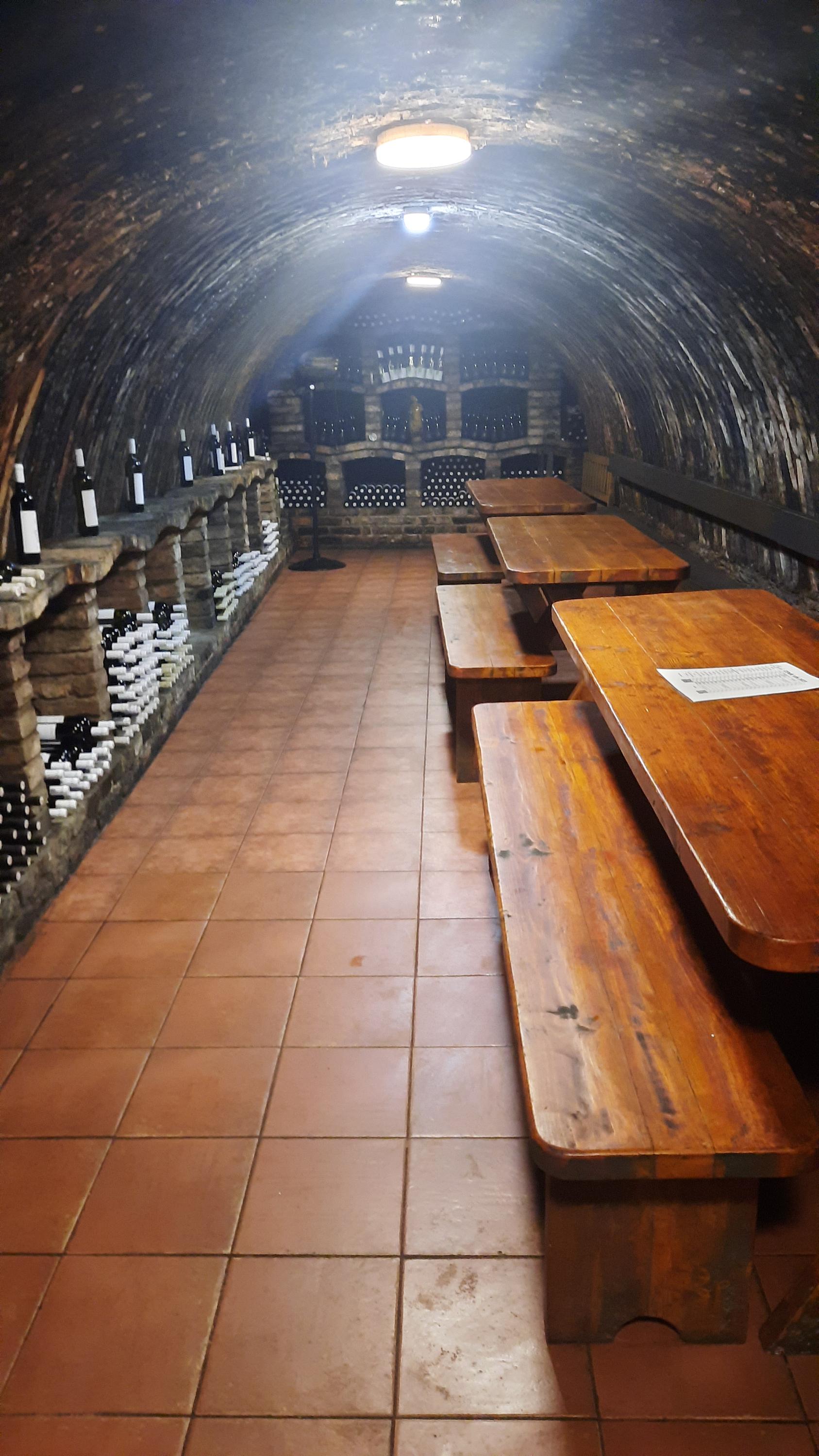 Vinařství Bočko - vinný sklep foto 4