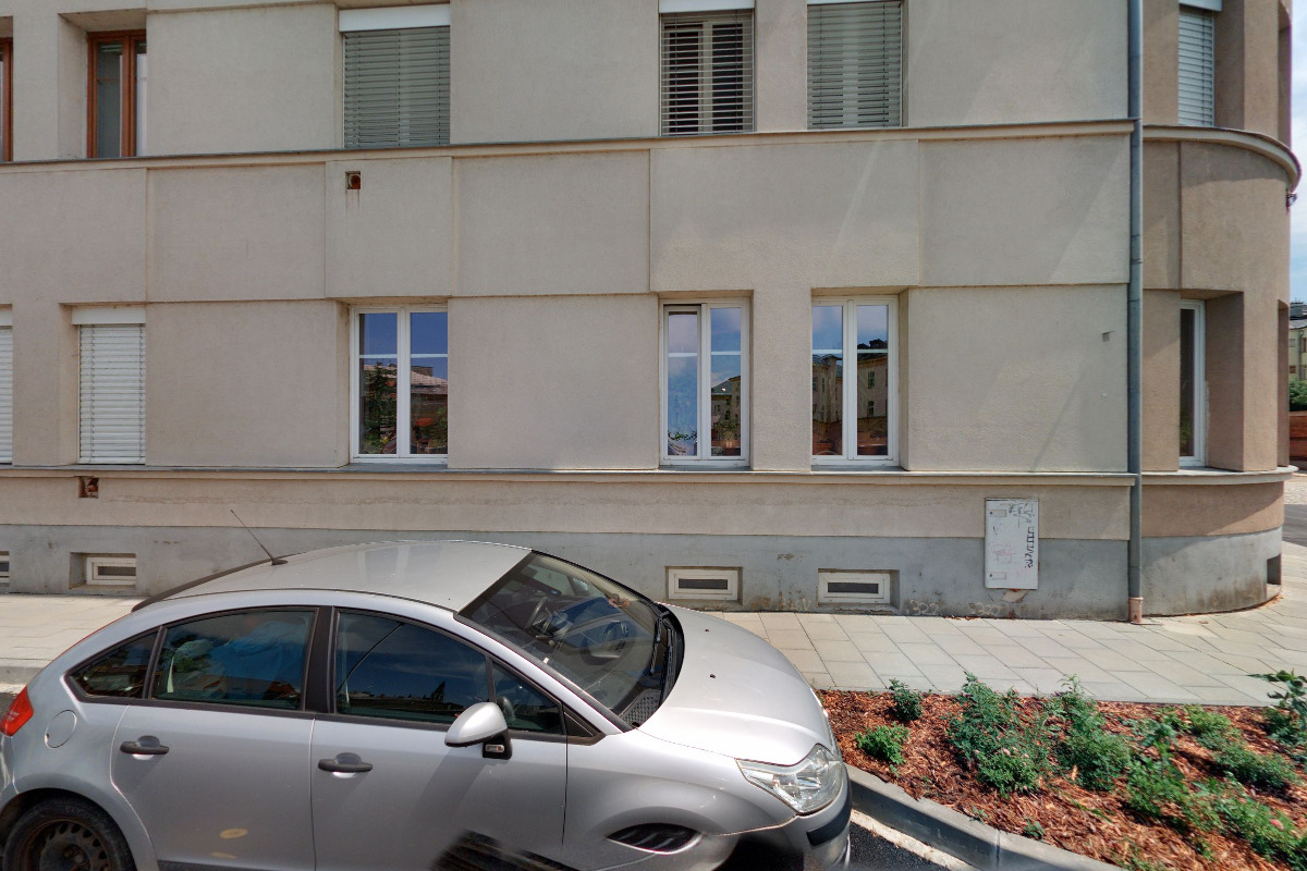 Arborista, dendrolog – Ing. Petr Kubík, Ph.D. foto 2