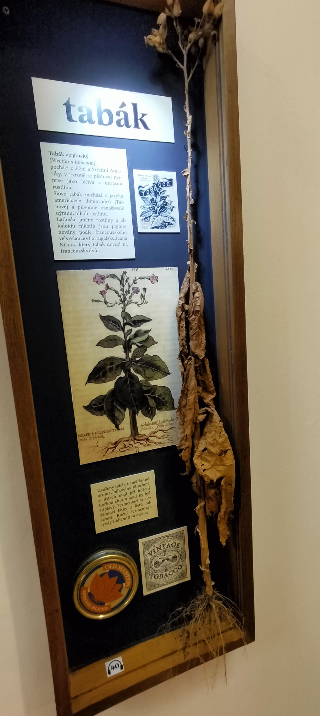 Muzeum Dýmek foto 6