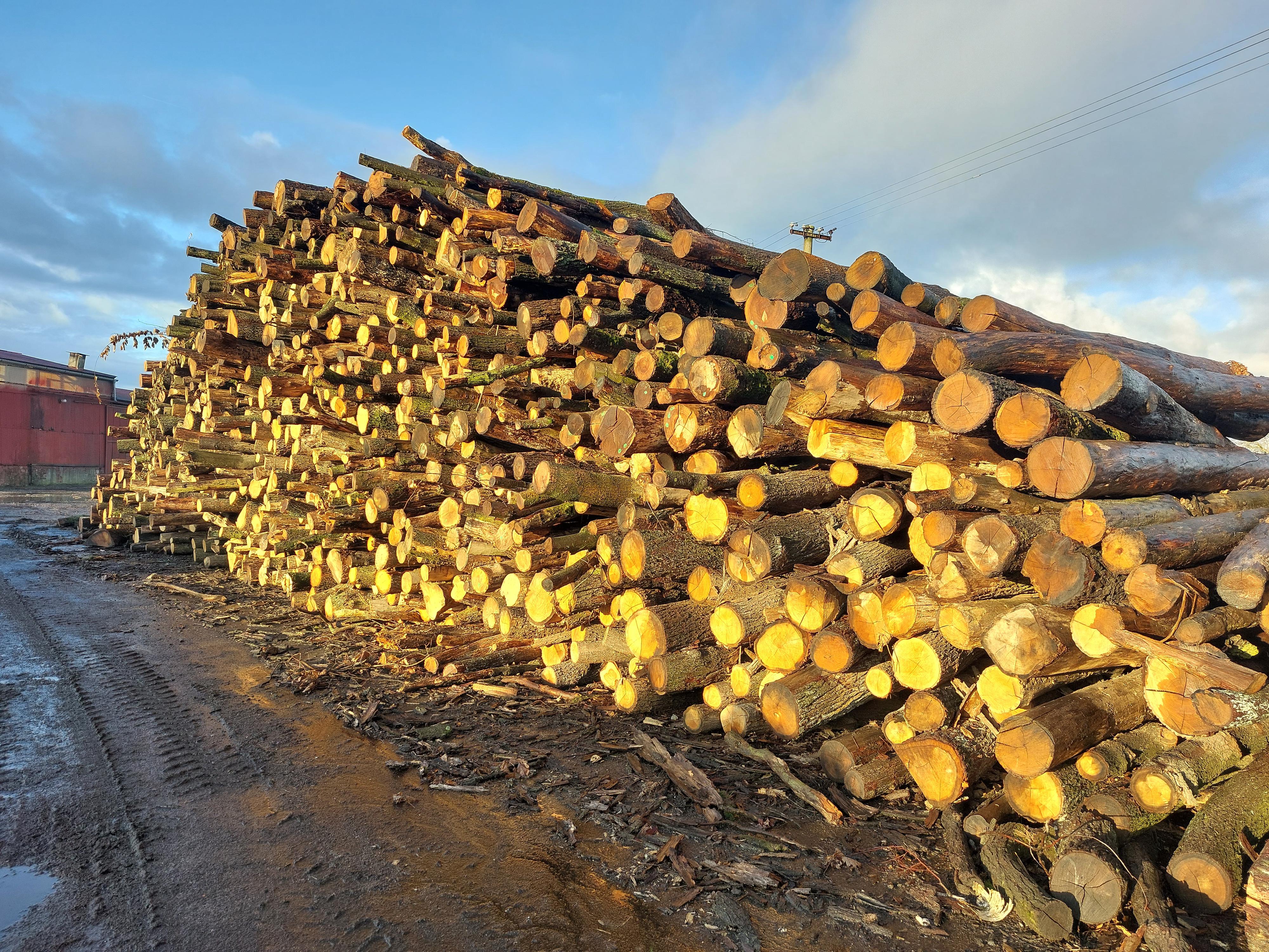 PALIVOVÉ DŘEVO STEELPARK foto 3