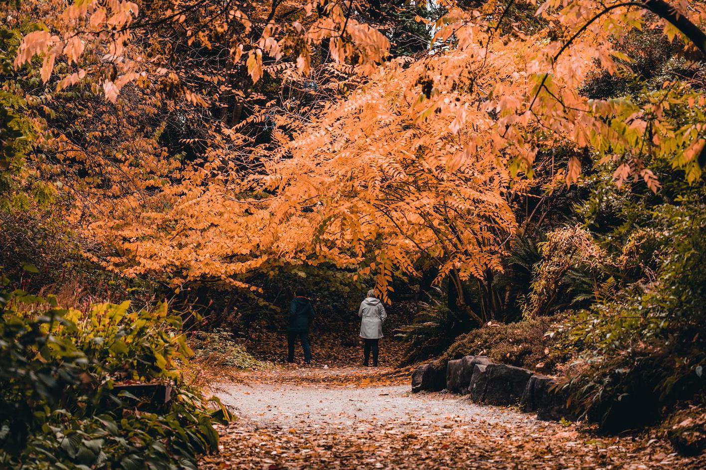 Domácí služby pro seniory JITŘENKA