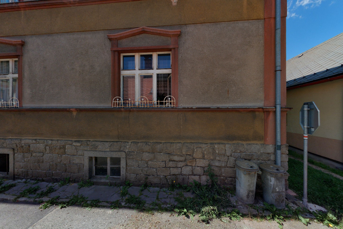 Květiny Stachy foto 5