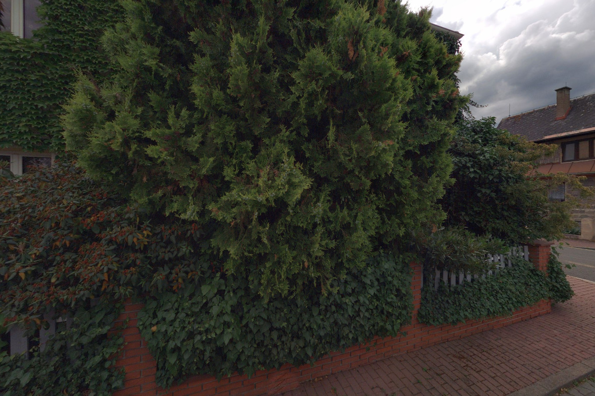 Levnelampiony.eu foto 2