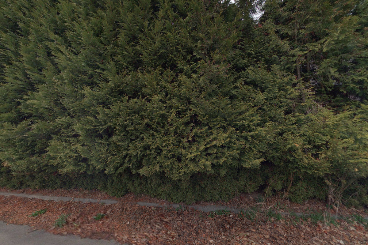 CAMPING VILLA BOHEMIA