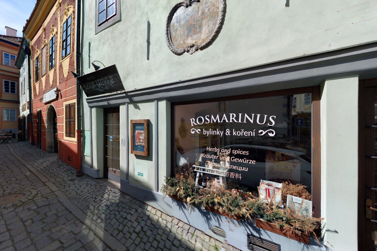 Rosmarinus - Bylinky a koření foto 3