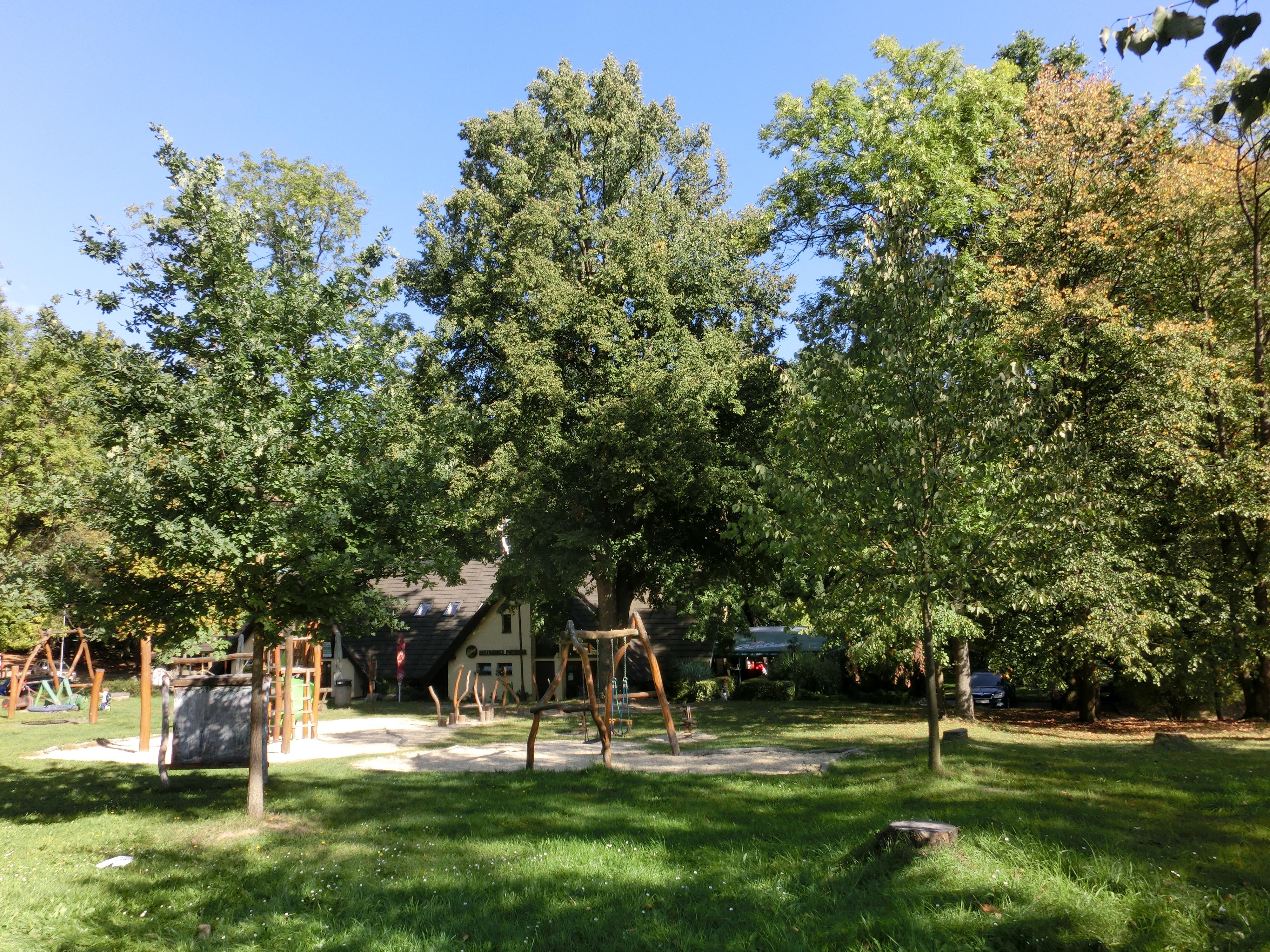 Lesní restaurace Pintovka foto 4