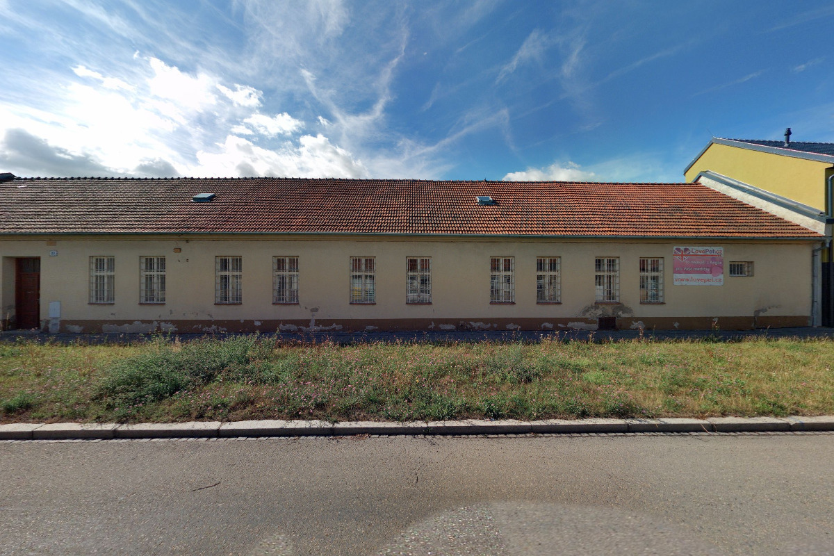 Lovepet.cz foto 2