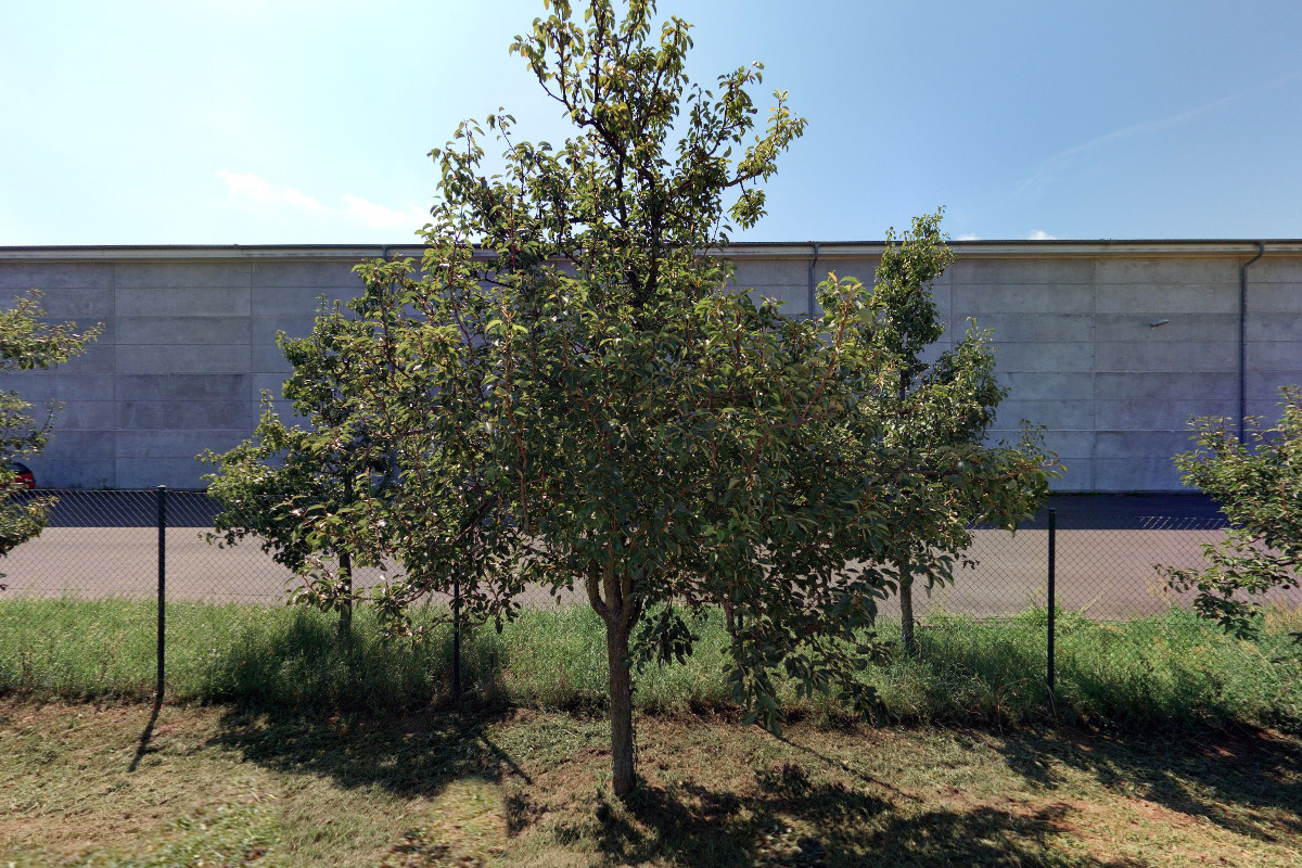 SEVERE, spol. s r.o.