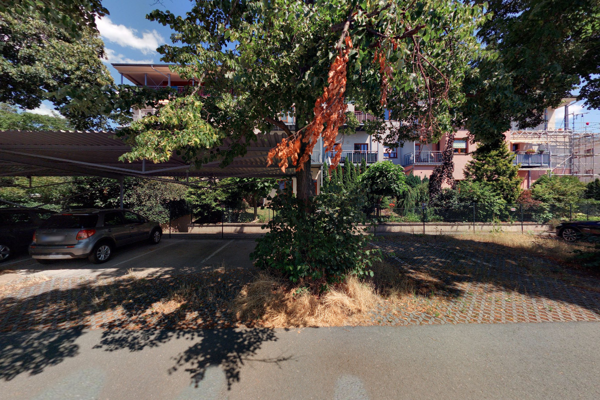 Butlers Dragonerregiment