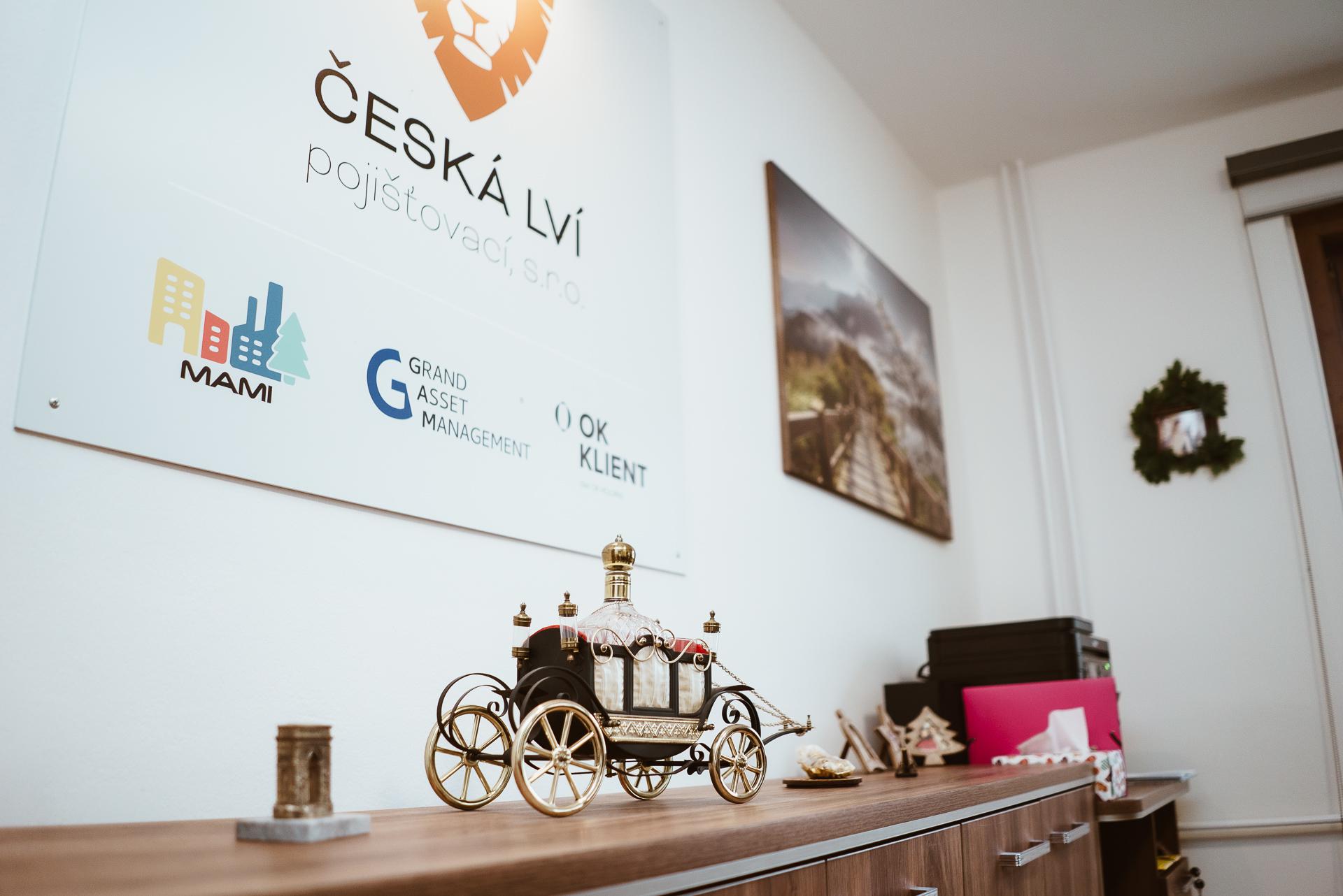 Václav Pirnus - Česká Lví pojišťovací foto 3