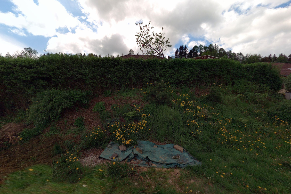 ZUBČICE SE BAVÍ foto 1